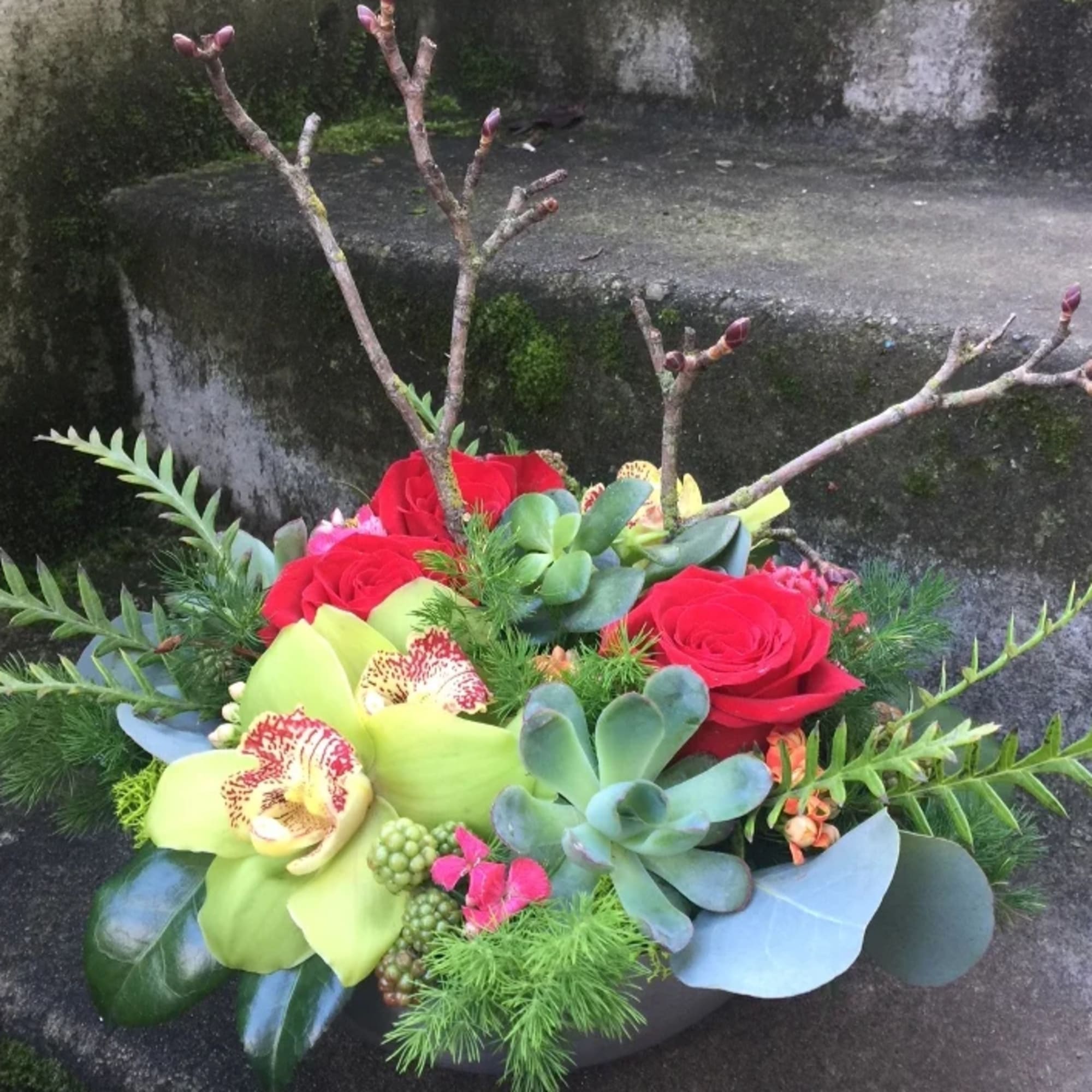 Mixed floral arrangement with red roses, green orchids, and succulents in a low container
