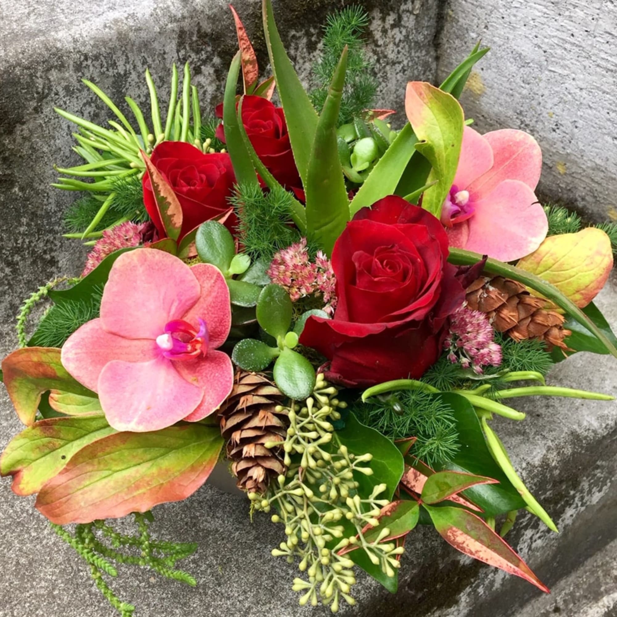 Our award-winning Texture Collection is a feast for the eyes, revealing another