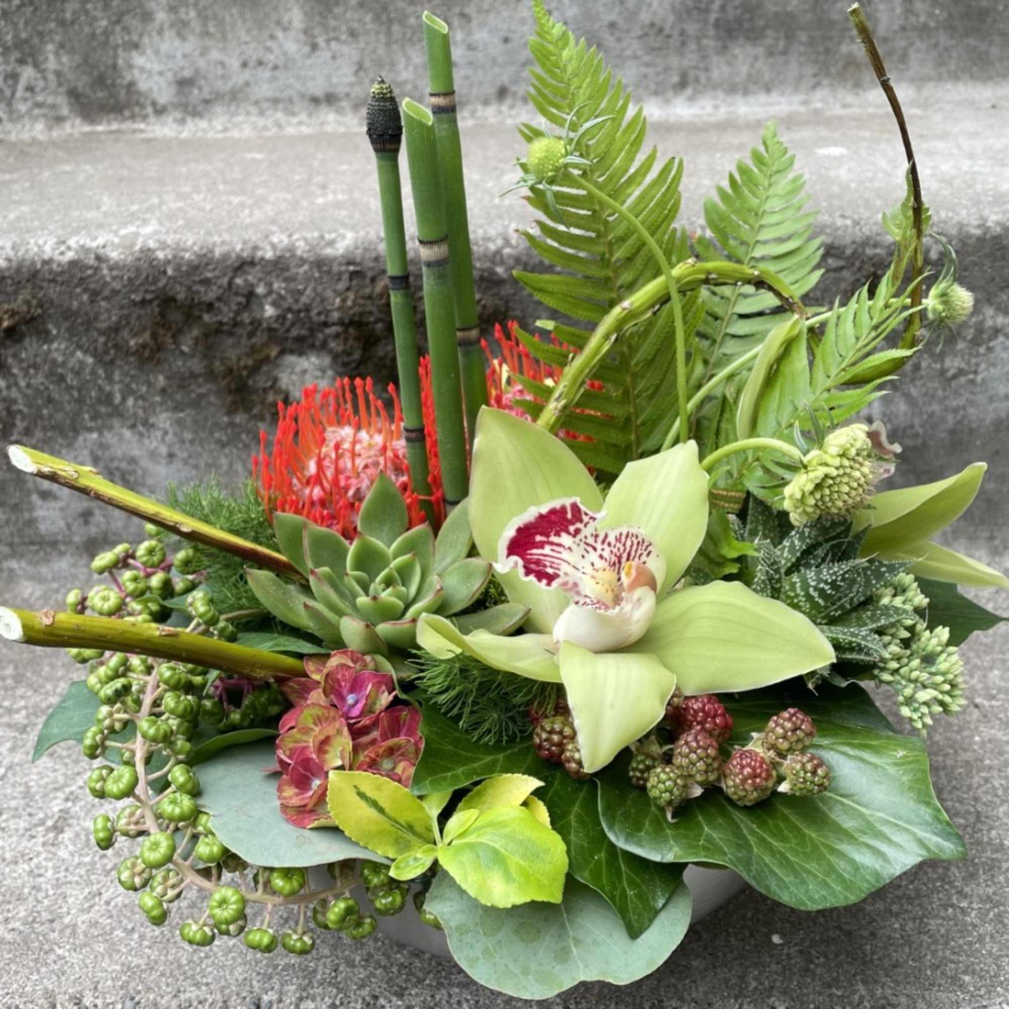 Tropical floral arrangement with green orchid, succulents, and red blooms