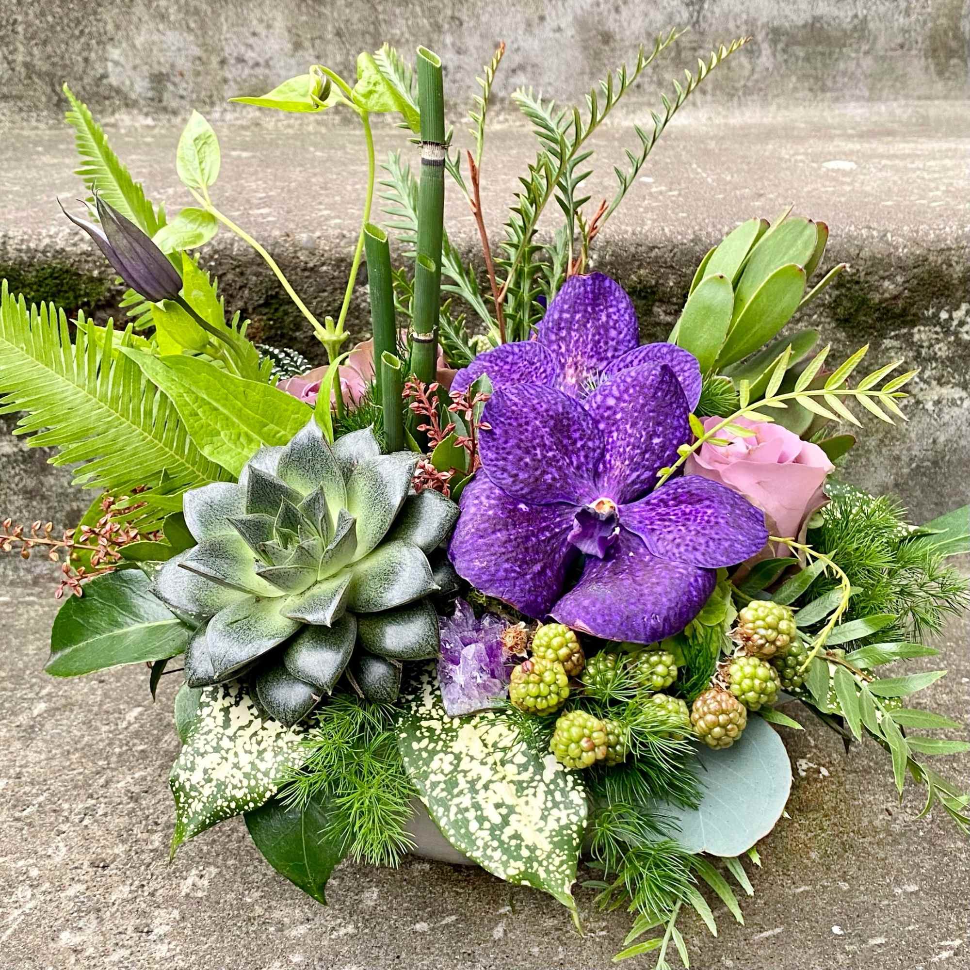 Purple orchid and succulent arrangement in a low container