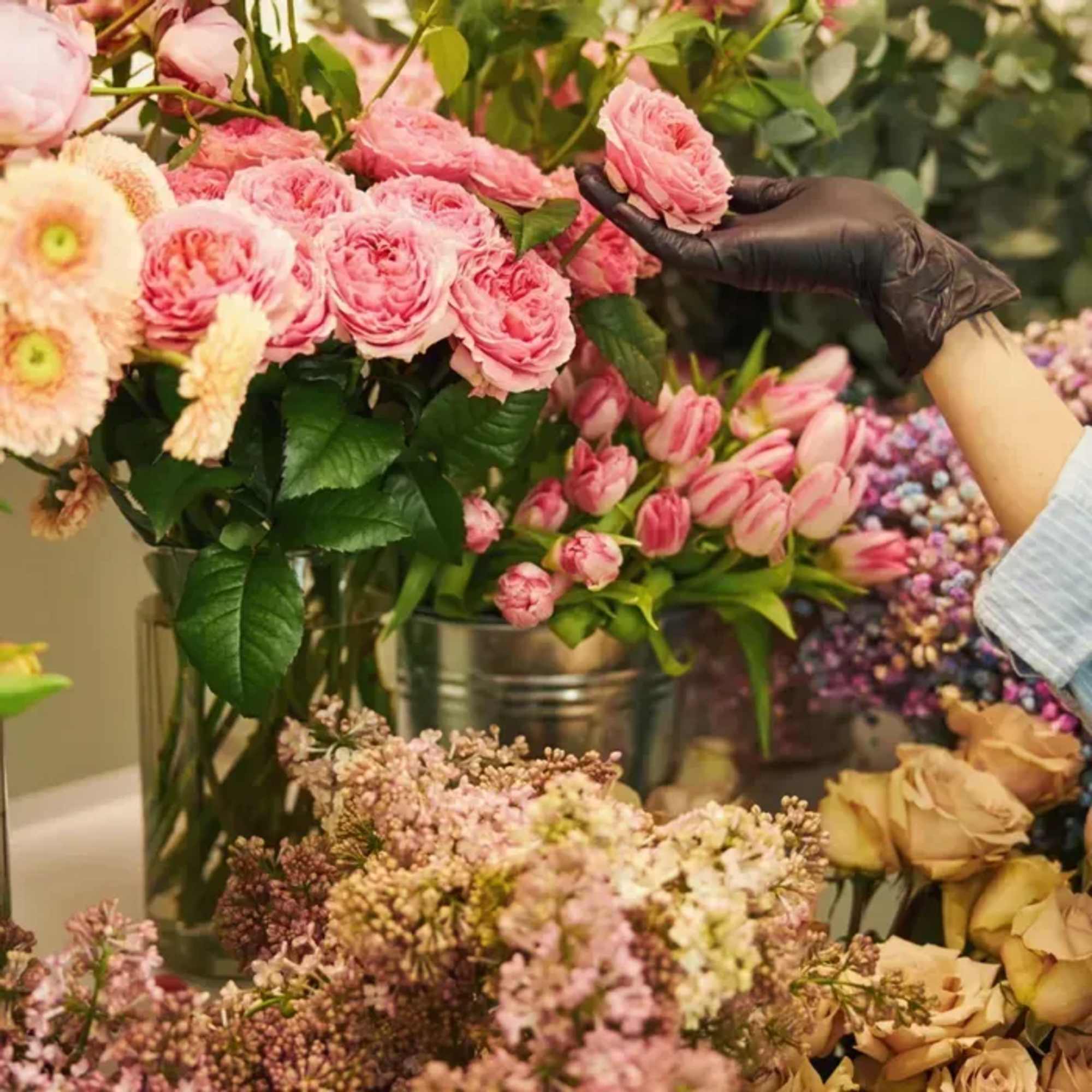 Date: Tuesday, May 20, 2025
Time: 6:30-8 PM
Price: $75 per person (Includes light