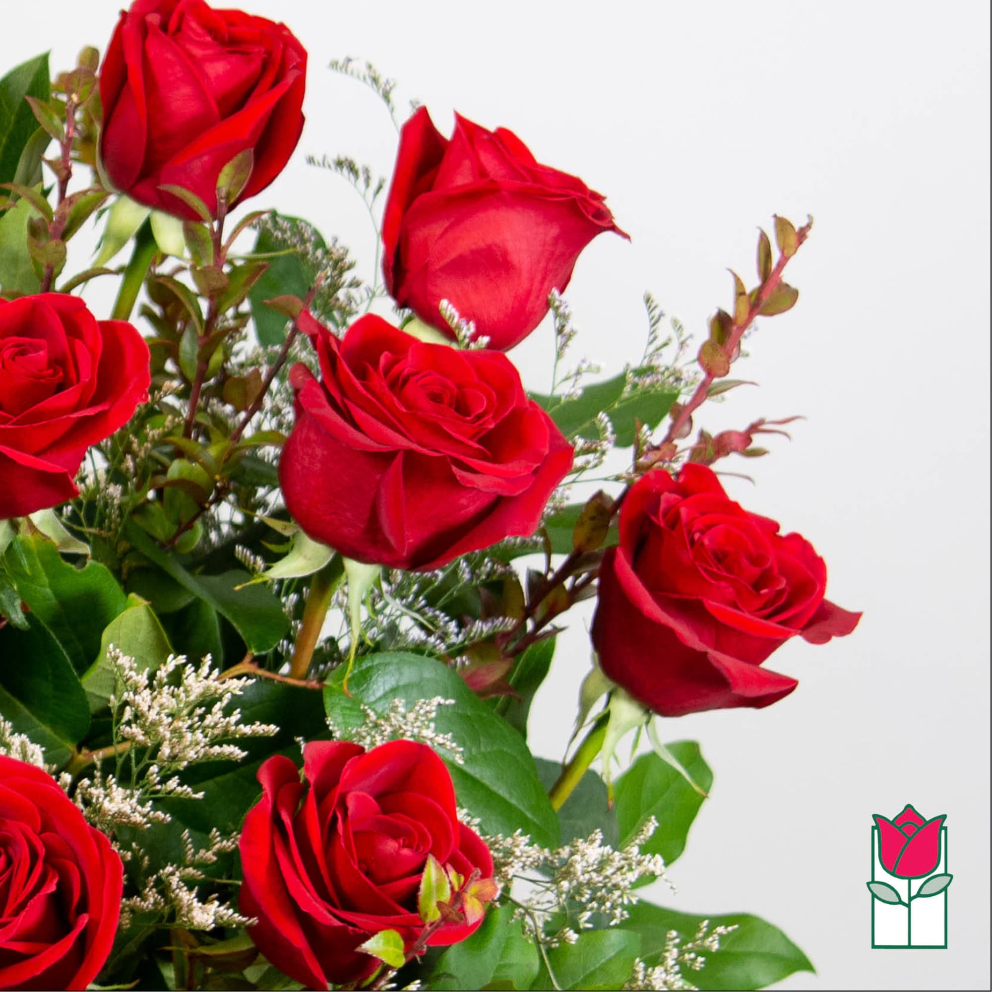 Bouquet of red roses with greenery on a white background