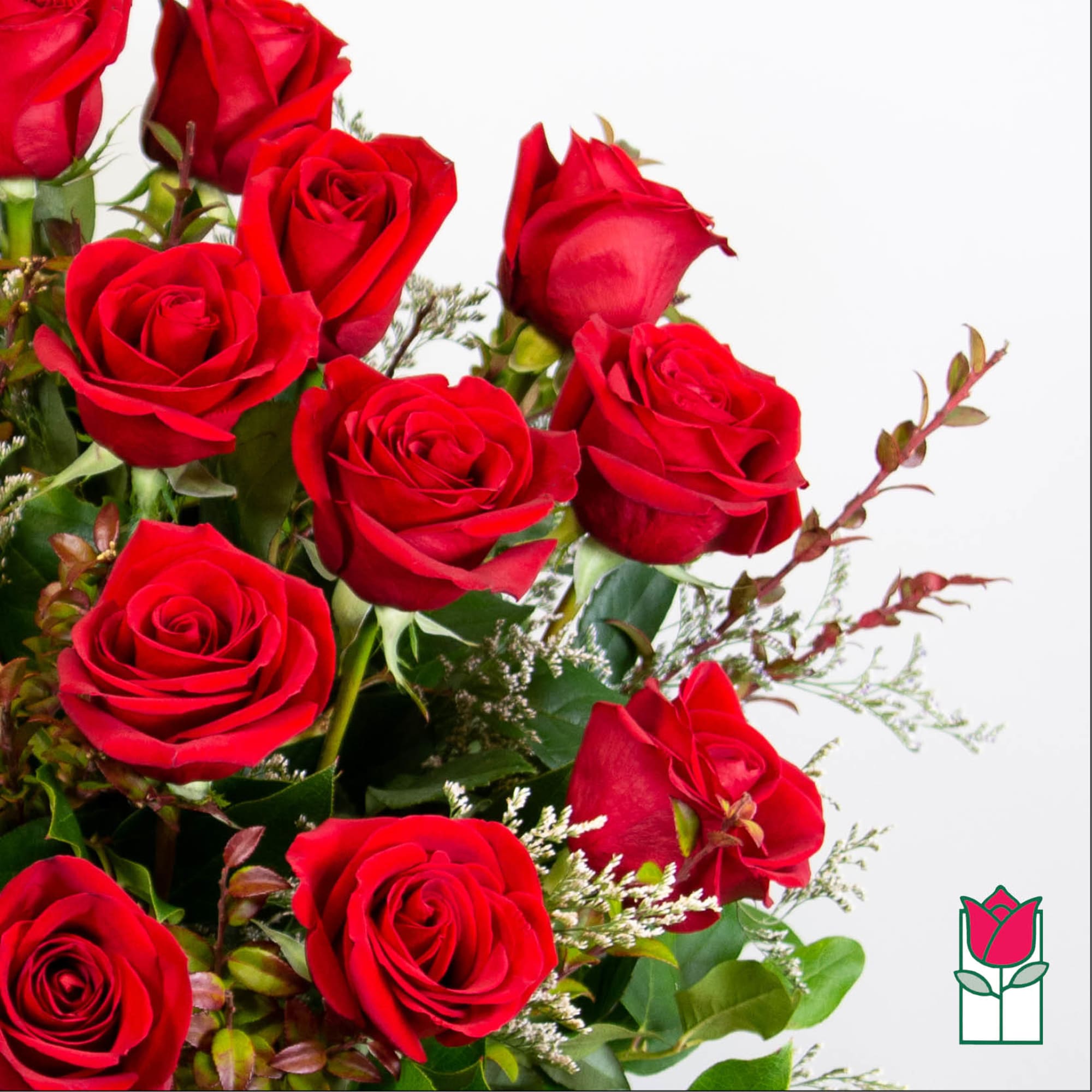 Bouquet of red roses with greenery on a white background
