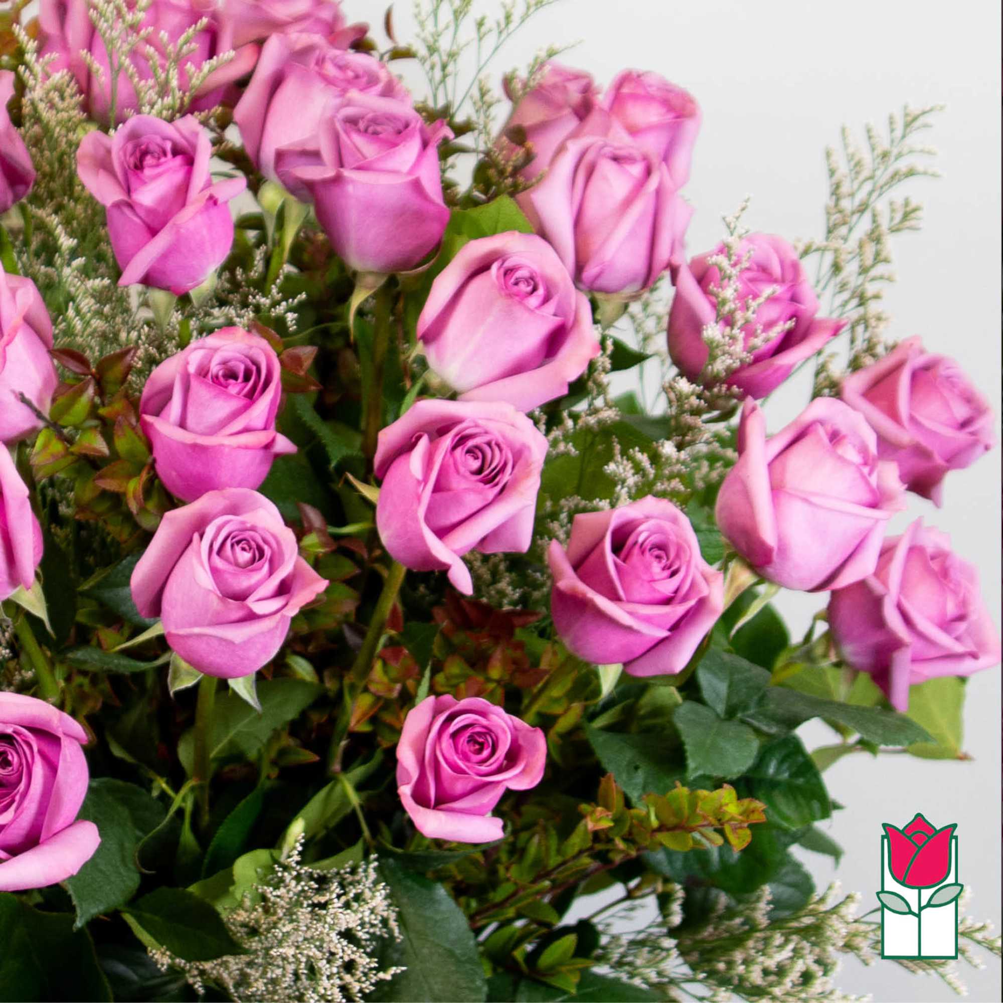 Bouquet of pink roses with small white filler flowers