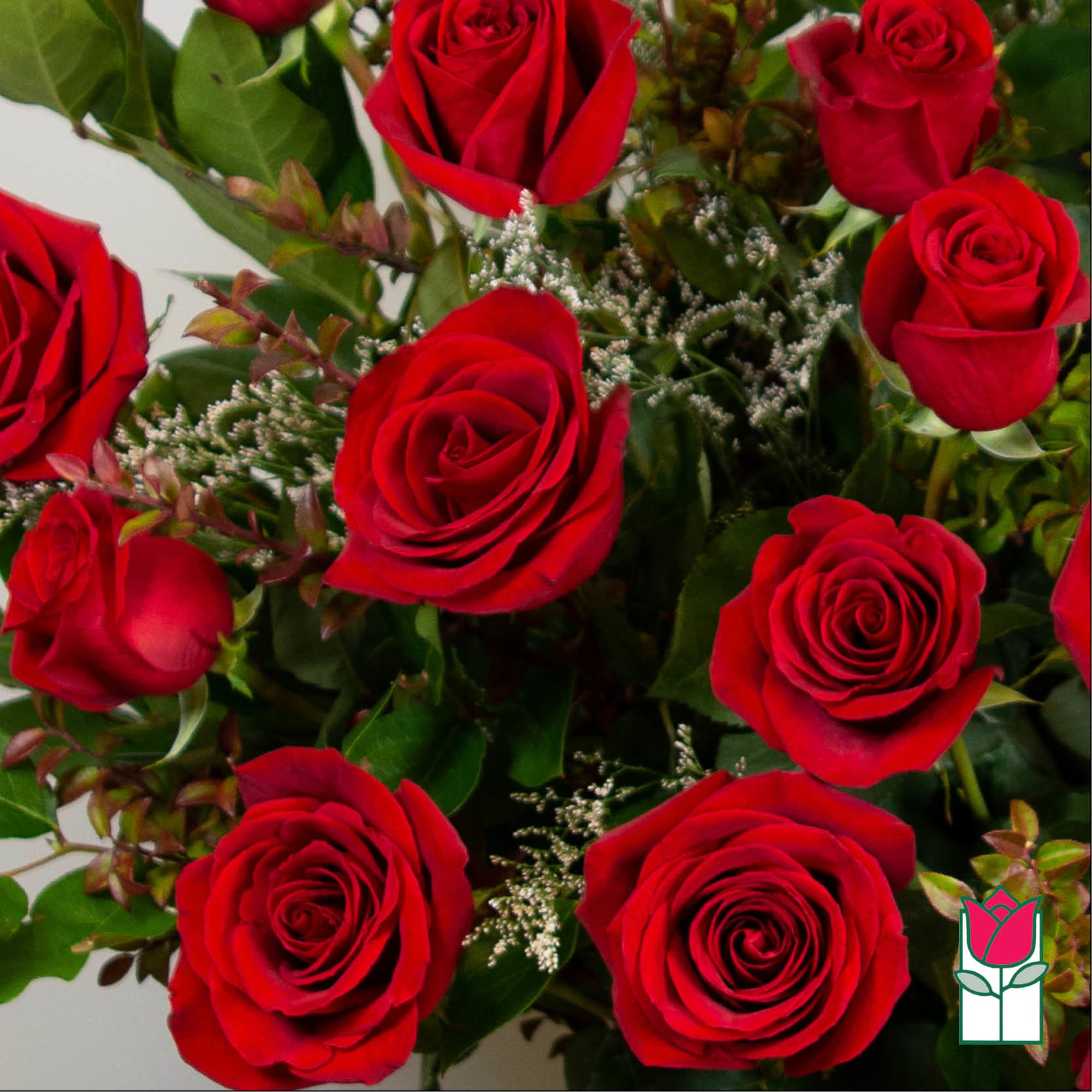 Bouquet of red roses with greenery and filler flowers