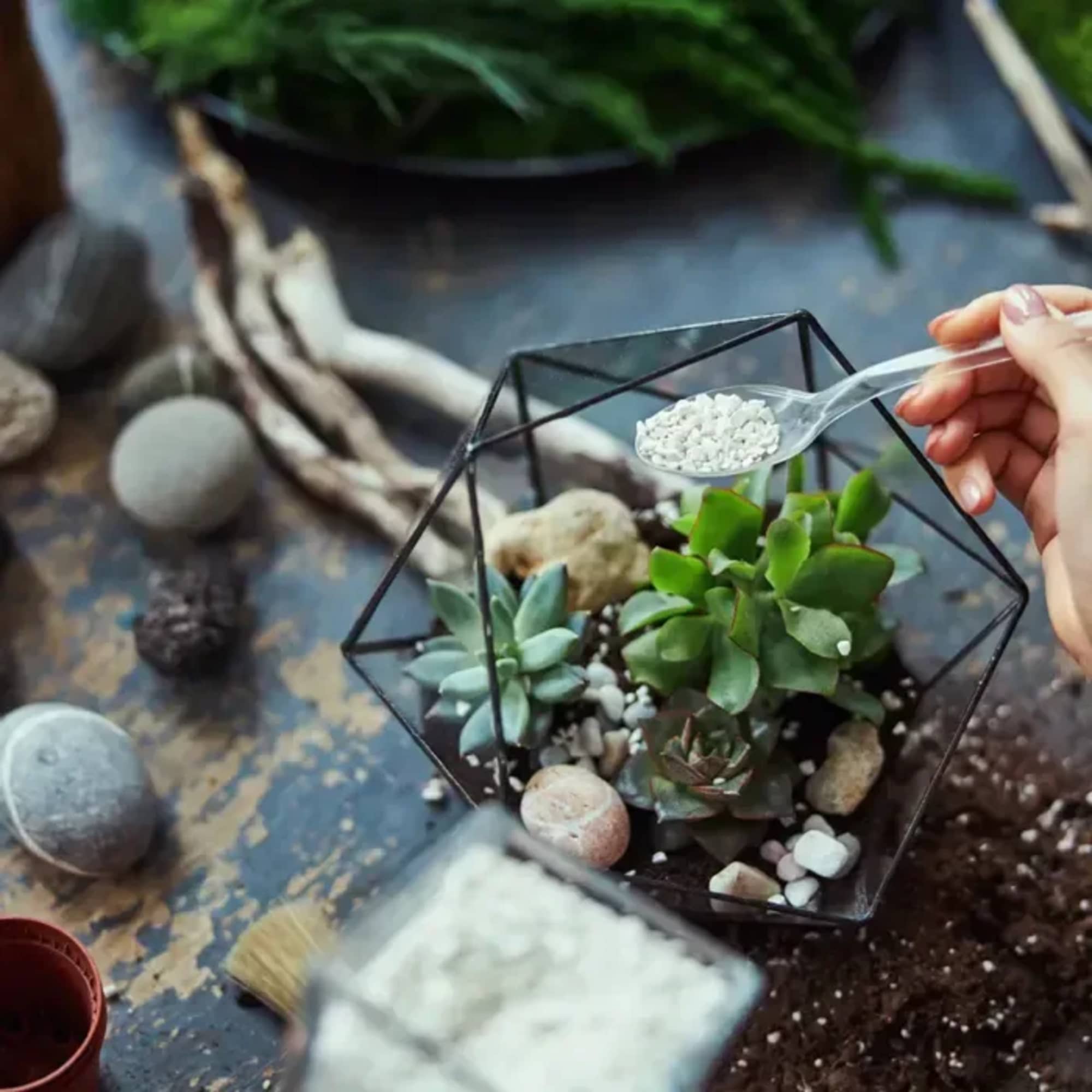 Date: March 18
Time: 6:30 PM - 8:00 PM
Price: $75 per person

Get hands-on