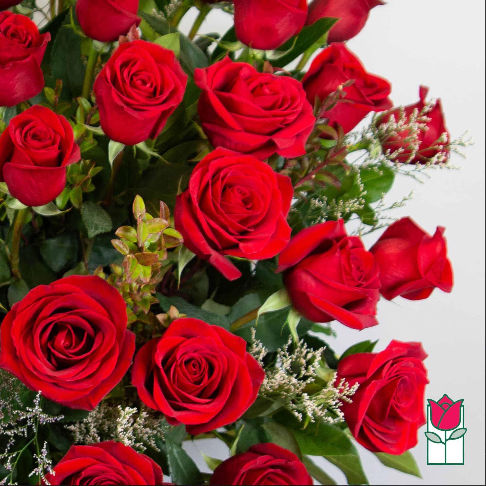 Bouquet of red roses with small white filler flowers