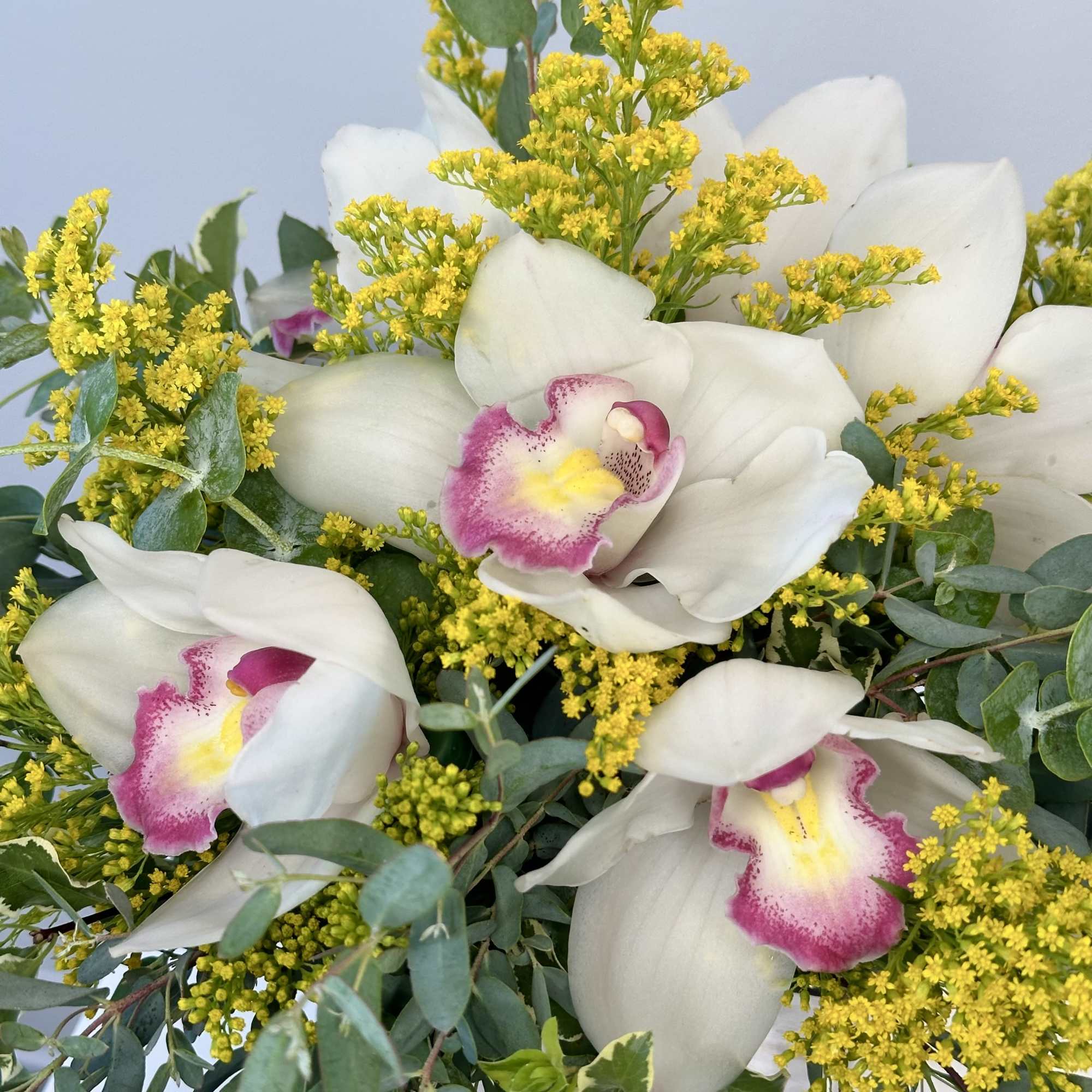 White orchids with pink centers and yellow filler flowers