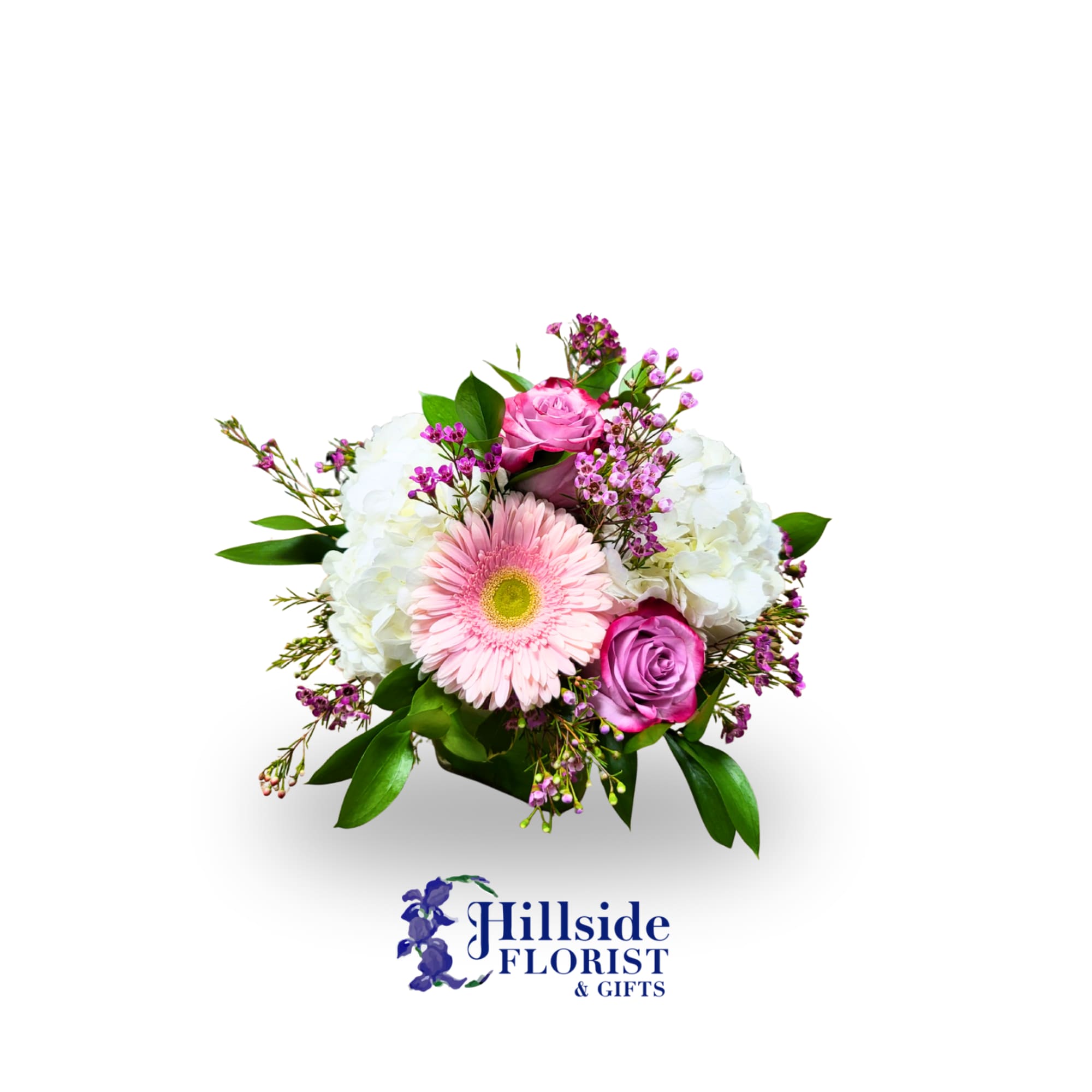 5x5 cube with  hydrangea, colored gerbera daisies, colored roses with accent