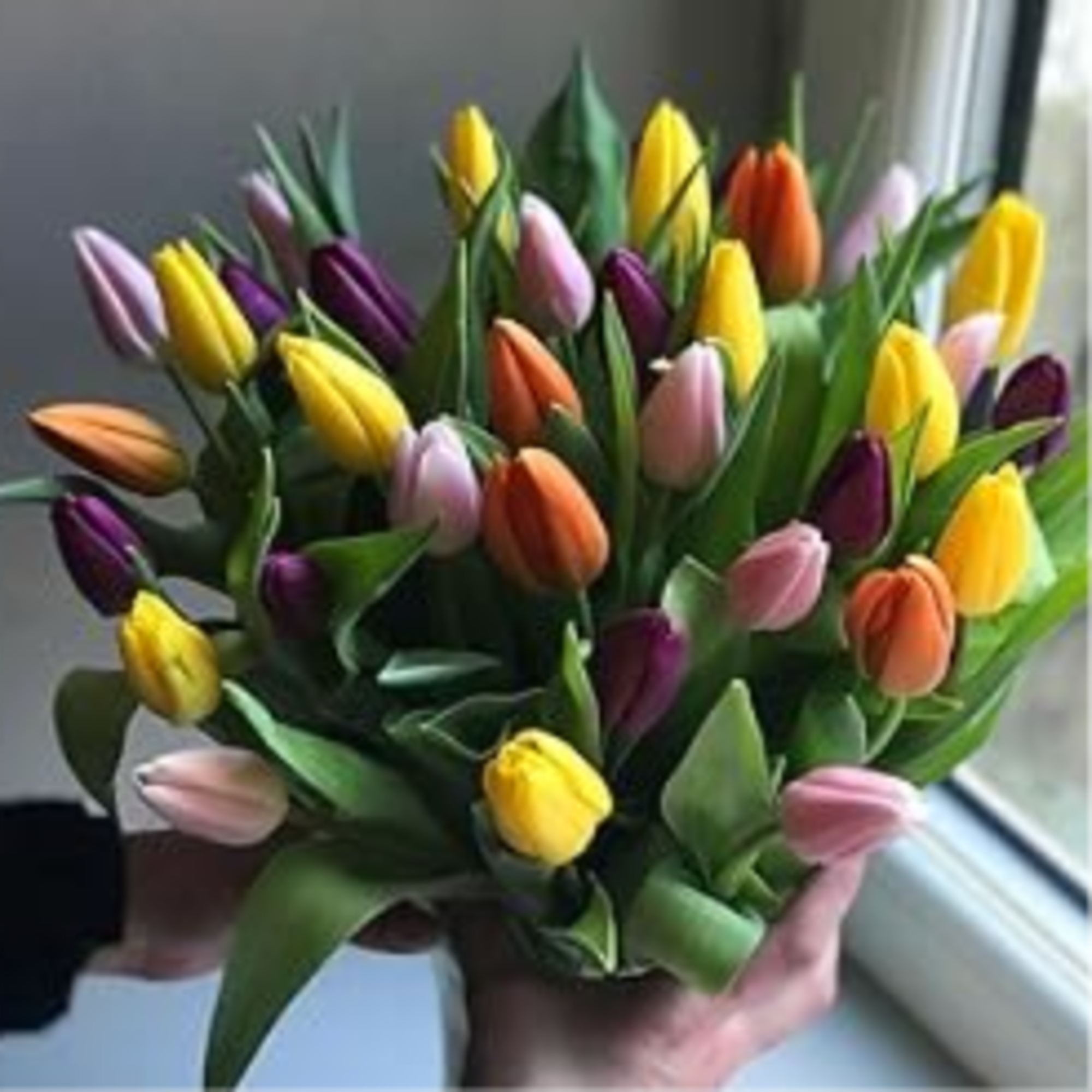The Happy Wrap is a cheerful bouquet of fresh vibrant tulips, beautifully