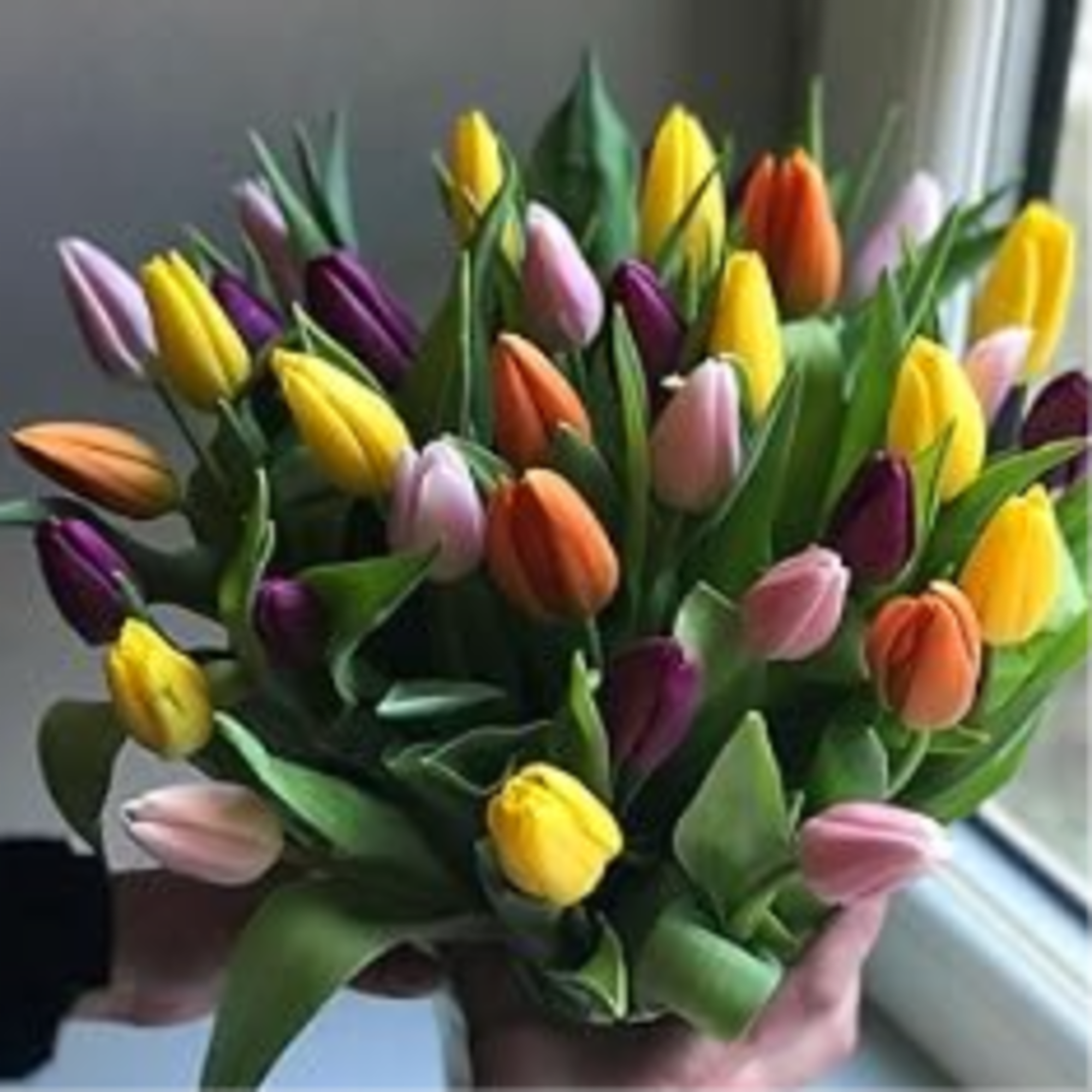 The Happy Wrap is a cheerful bouquet of fresh vibrant tulips, beautifully