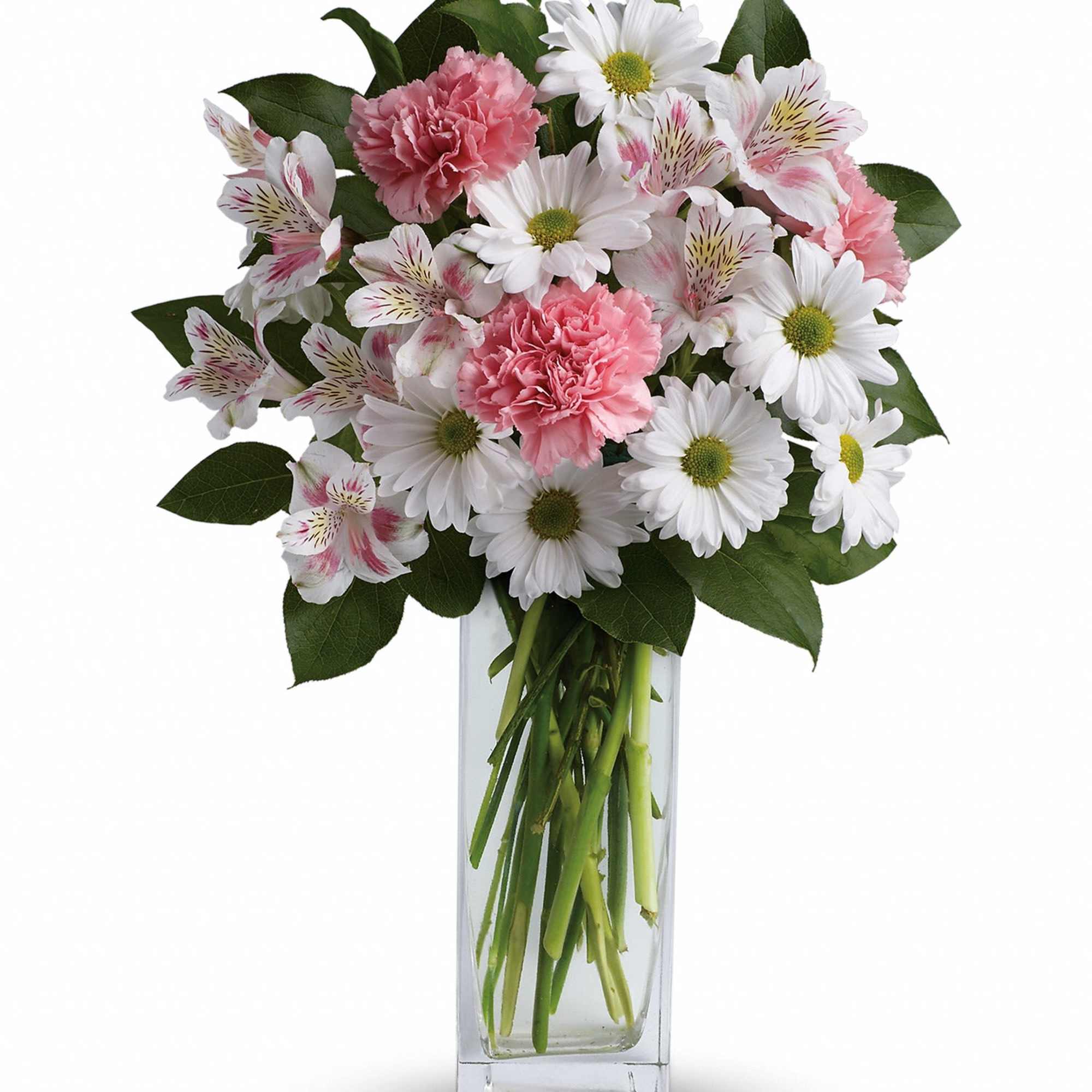 Pink carnations and white daisies in a clear glass vase