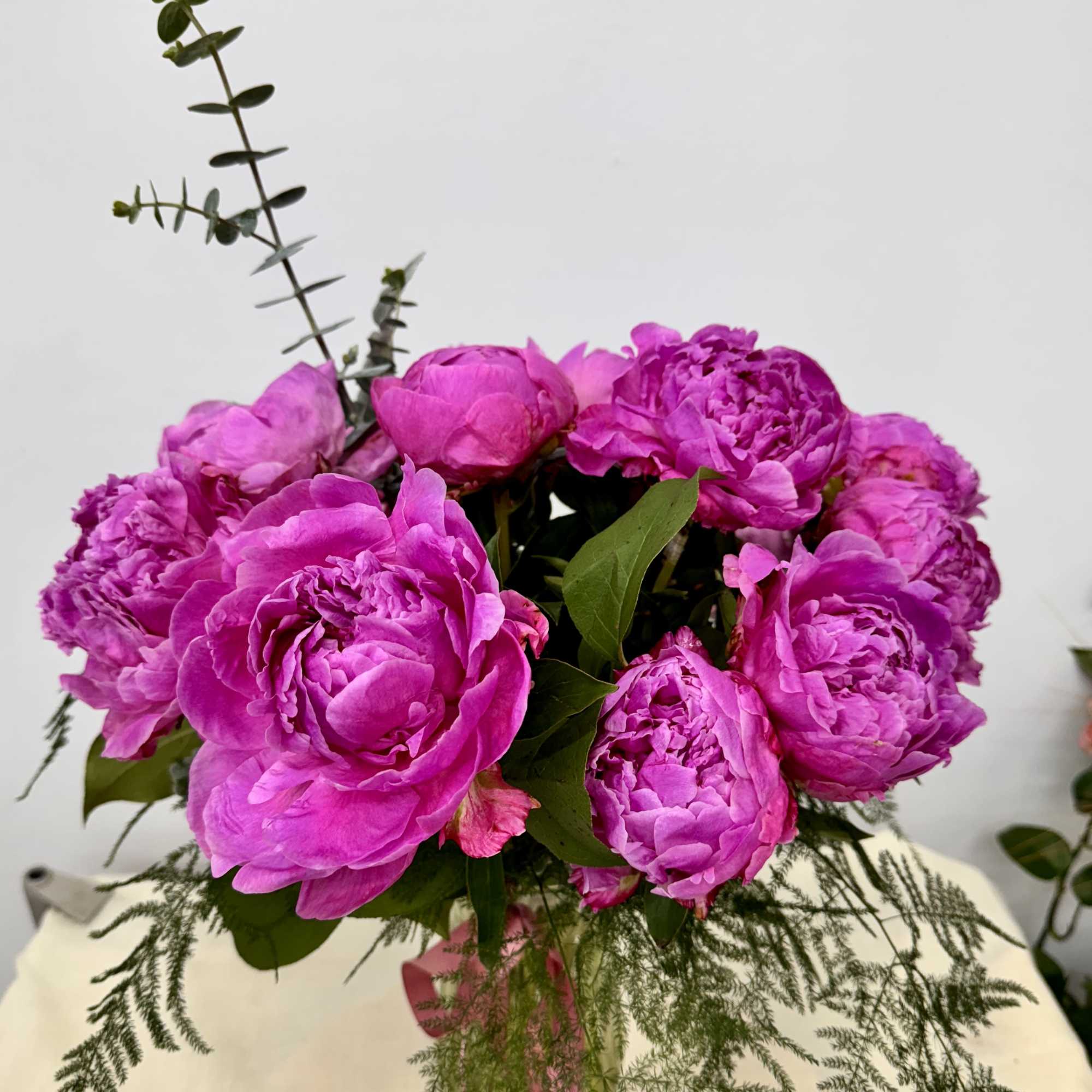 "Pink color peony may vary from light to medium tone depending on