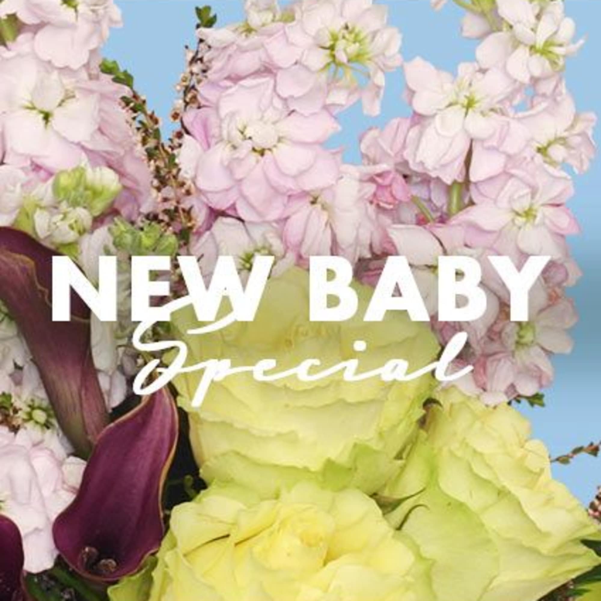 There&rsquo;s no better way to celebrate the new arrival than with our