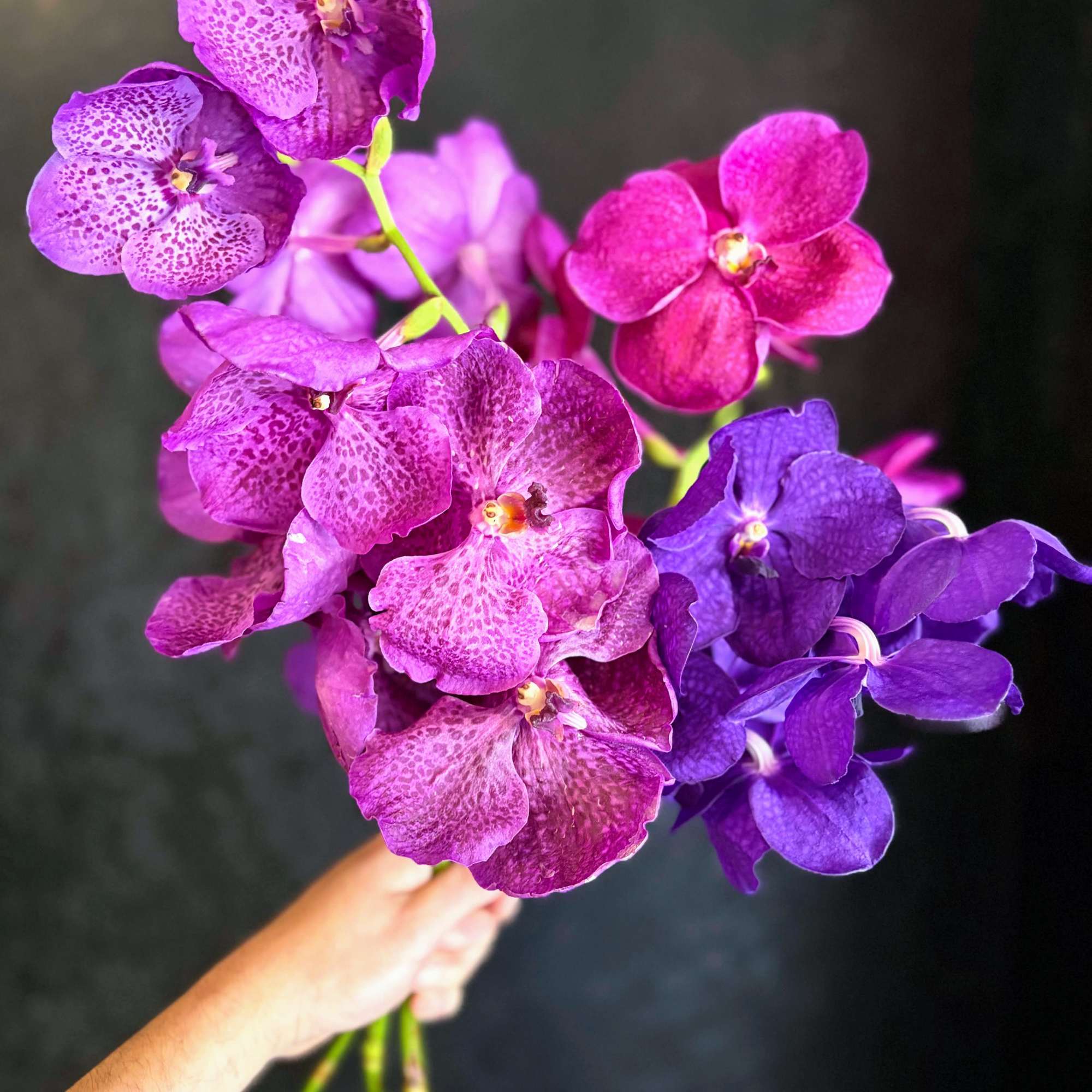 Vanda orchids are the stand-out star of this arrangement.  Roses and