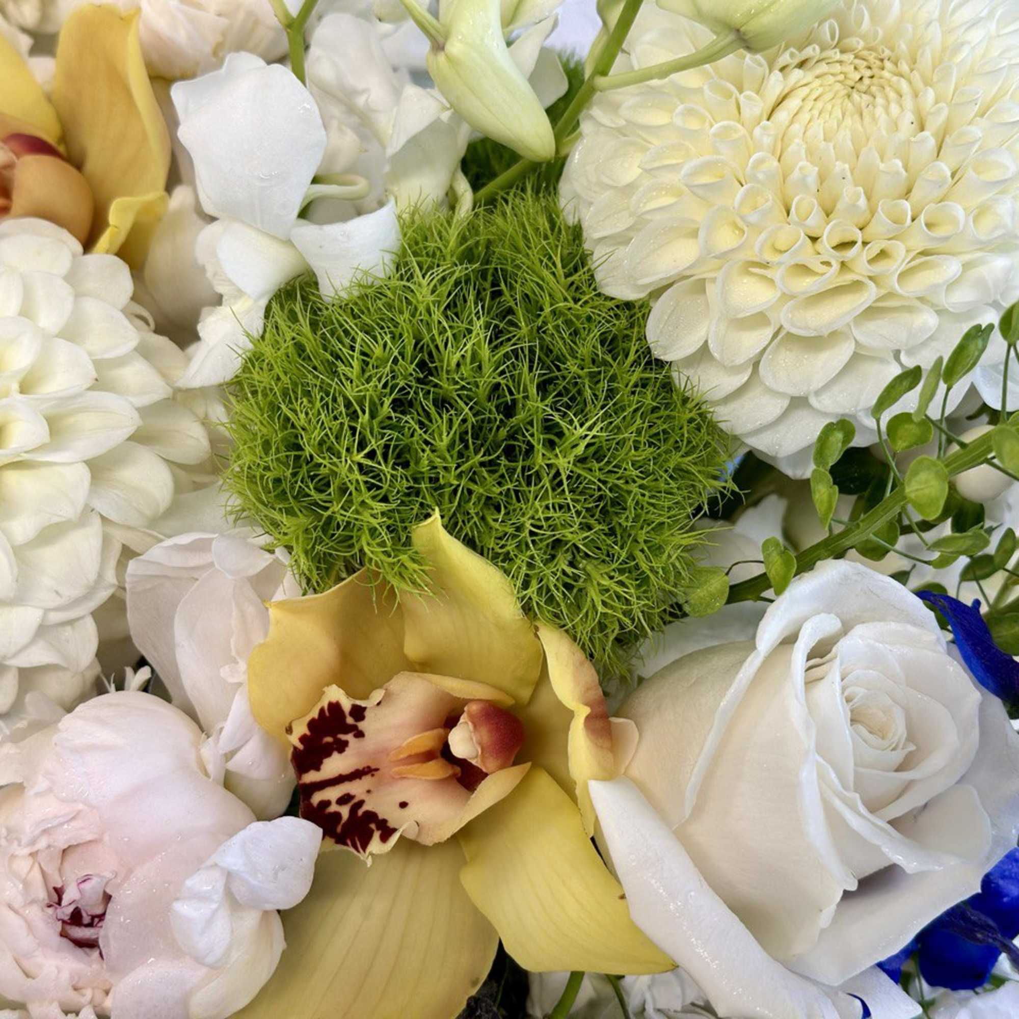 Close-up bouquet with white dahlias, roses, and yellow orchids