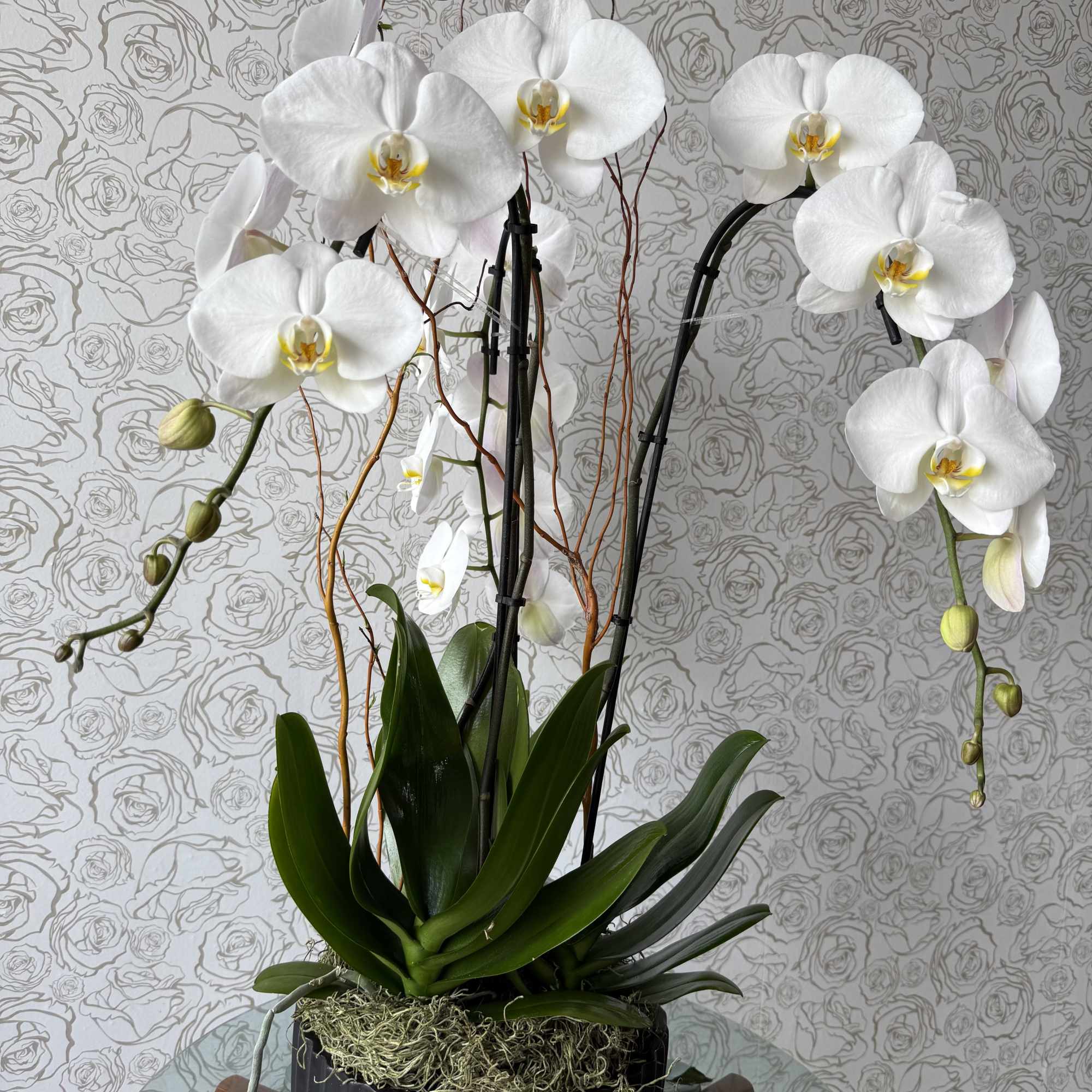 This beautiful orchid arrangement brings a sense of peace and sophistication to