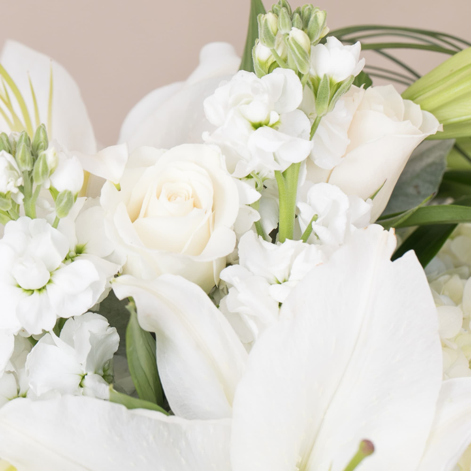Close-up of an all-white arrangement with roses, lilies, and stock flowers