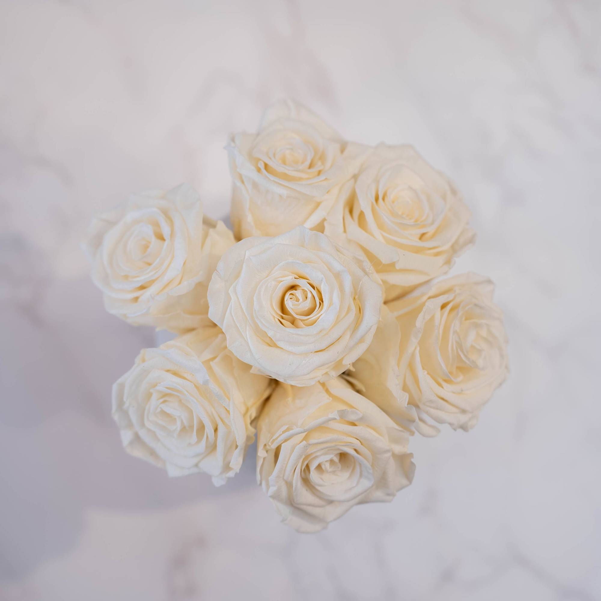 High end preserved roses, custom designed by hand in our local shop