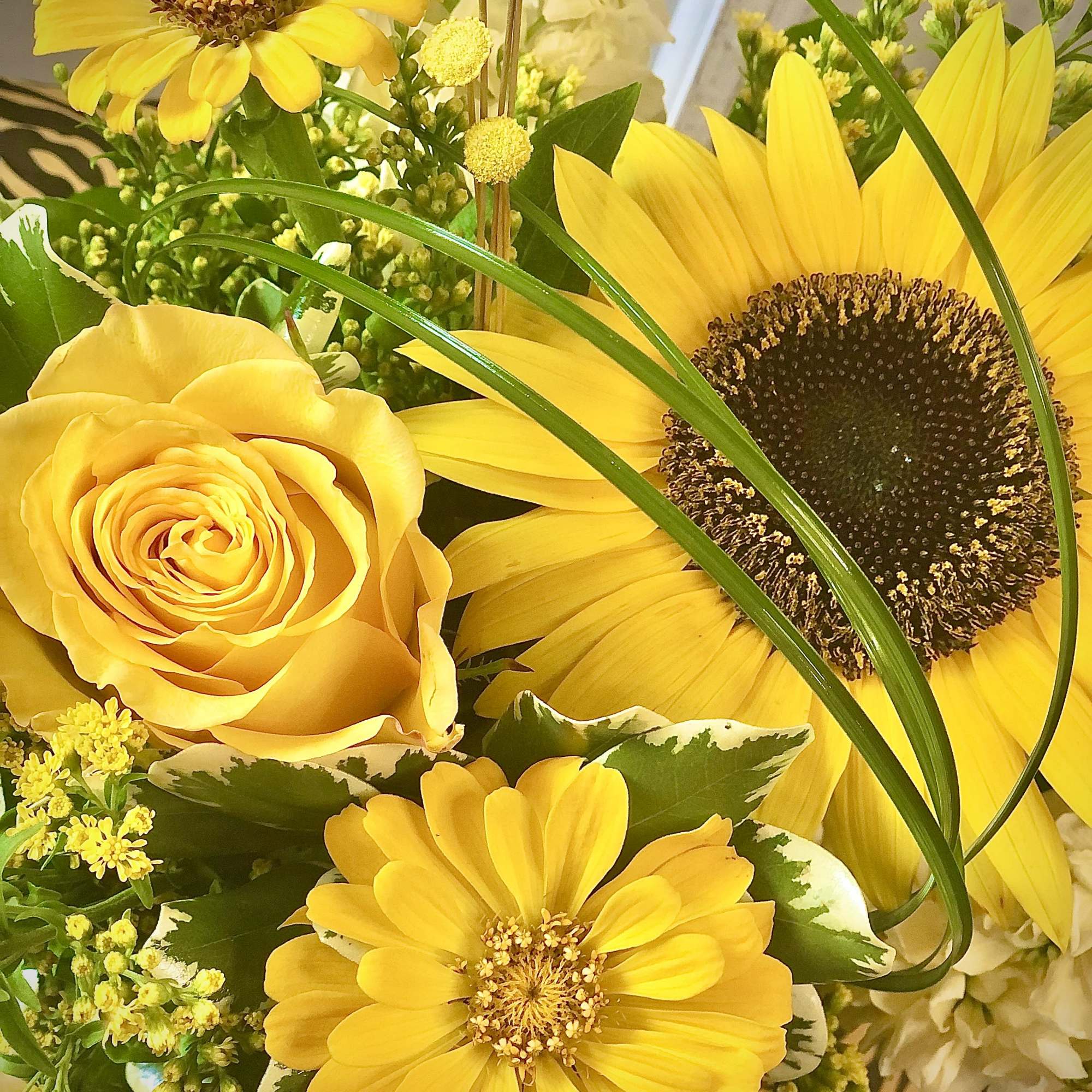 Mizzou-RAH!!! Capture the spirit of the University of Missouri Tigers (located here