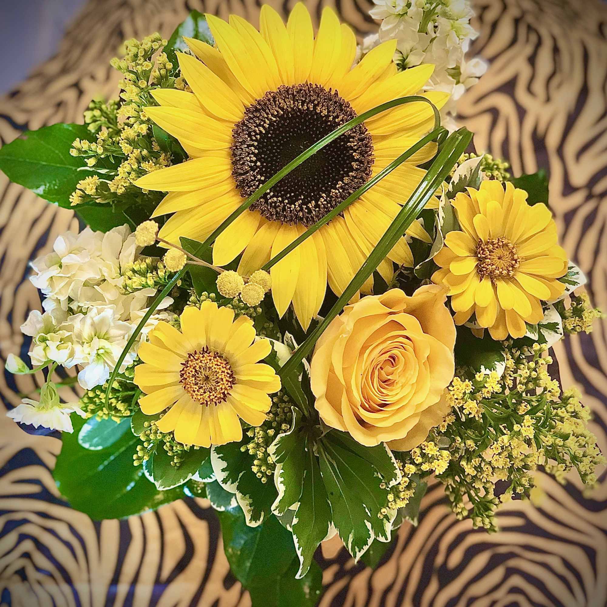 Mizzou-RAH!!! Capture the spirit of the University of Missouri Tigers (located here