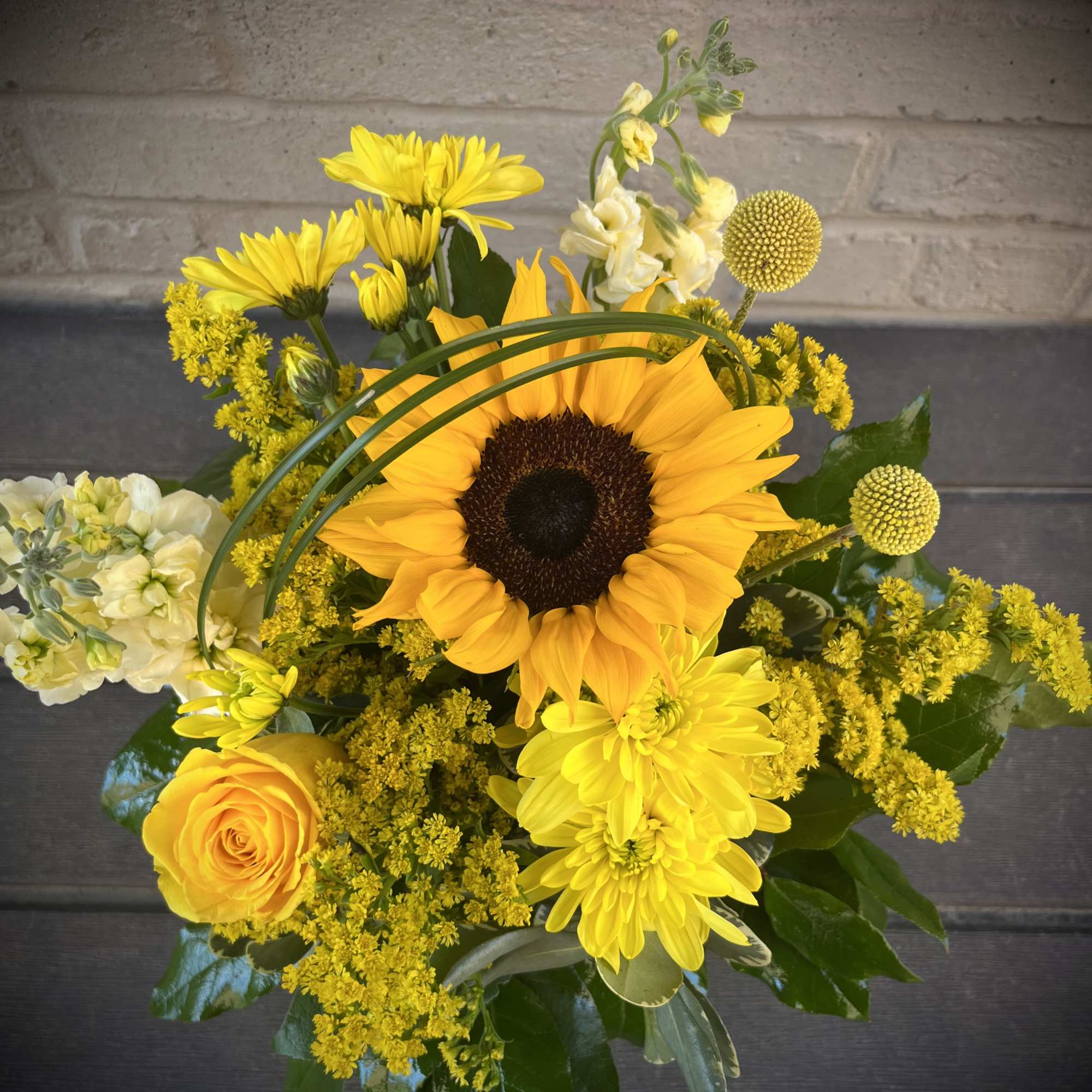 Mizzou-RAH!!! Capture the spirit of the University of Missouri Tigers (located here