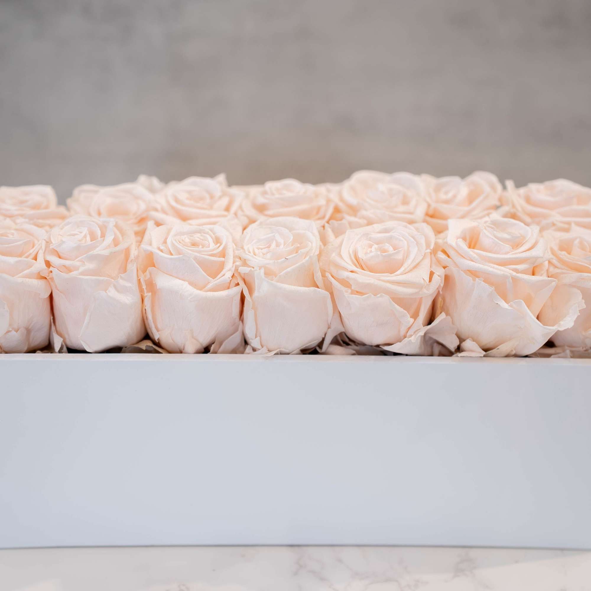 High end preserved roses, custom designed by hand in our local shop