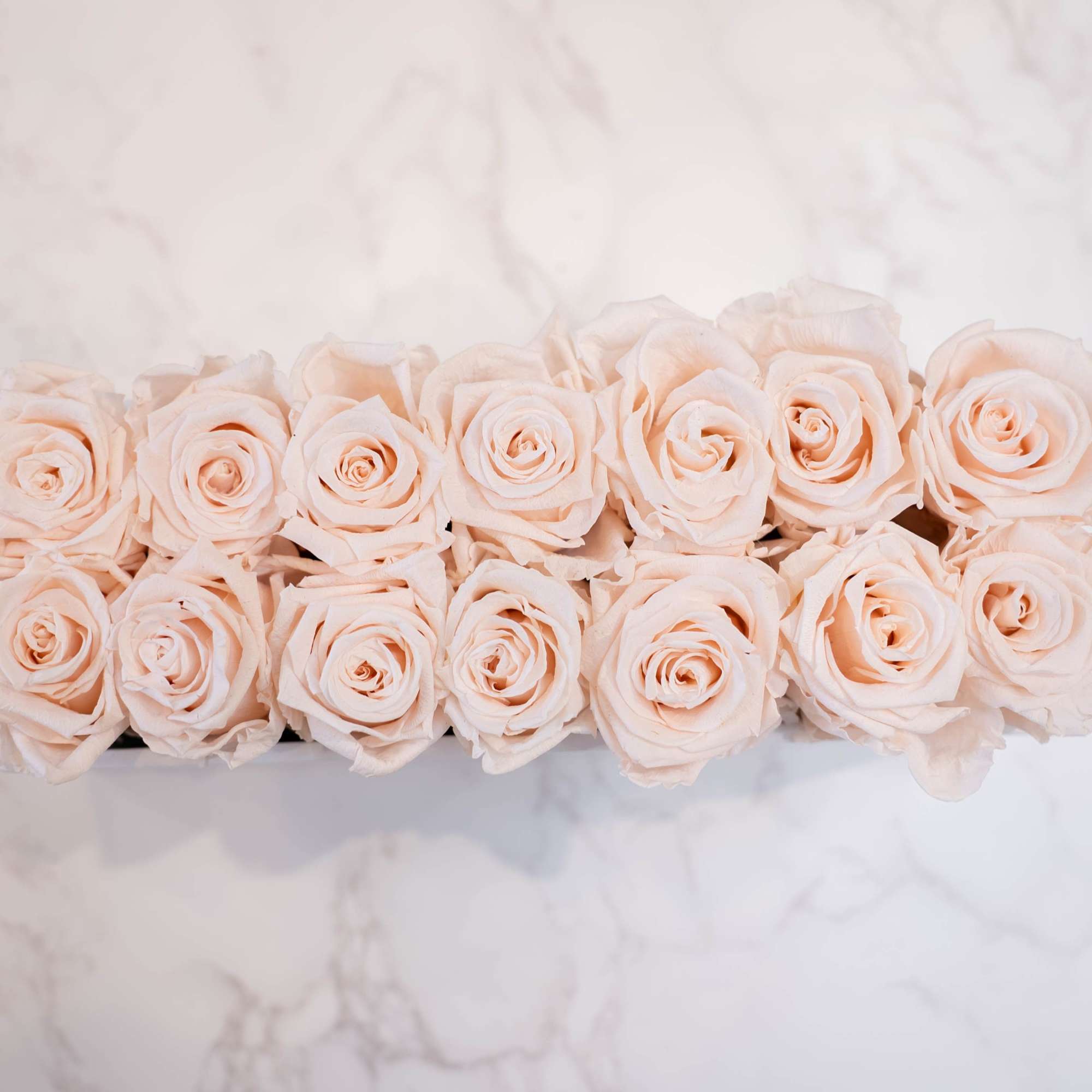 High end preserved roses, custom designed by hand in our local shop