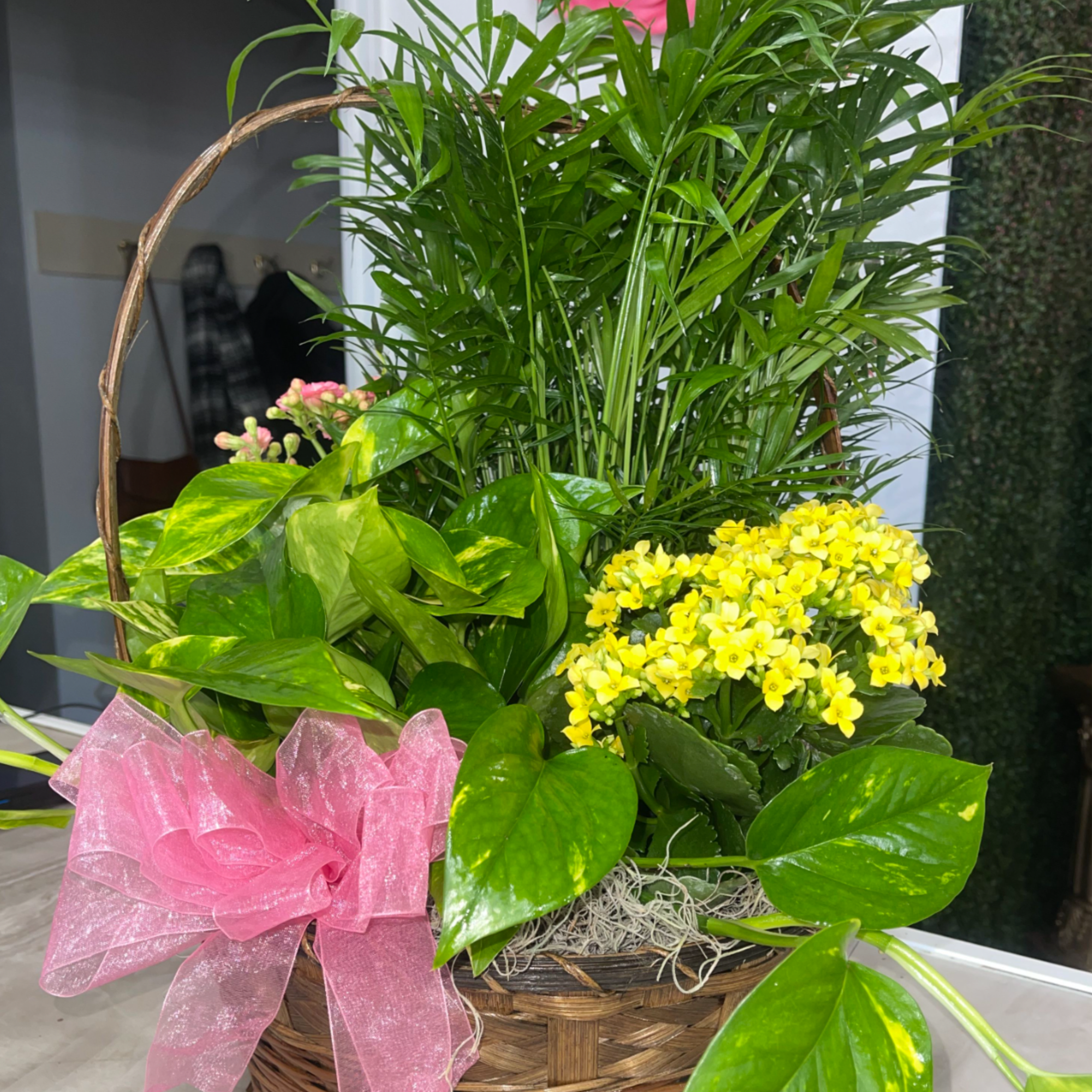 Send a little garden to somebody. A mix of flowering plants and