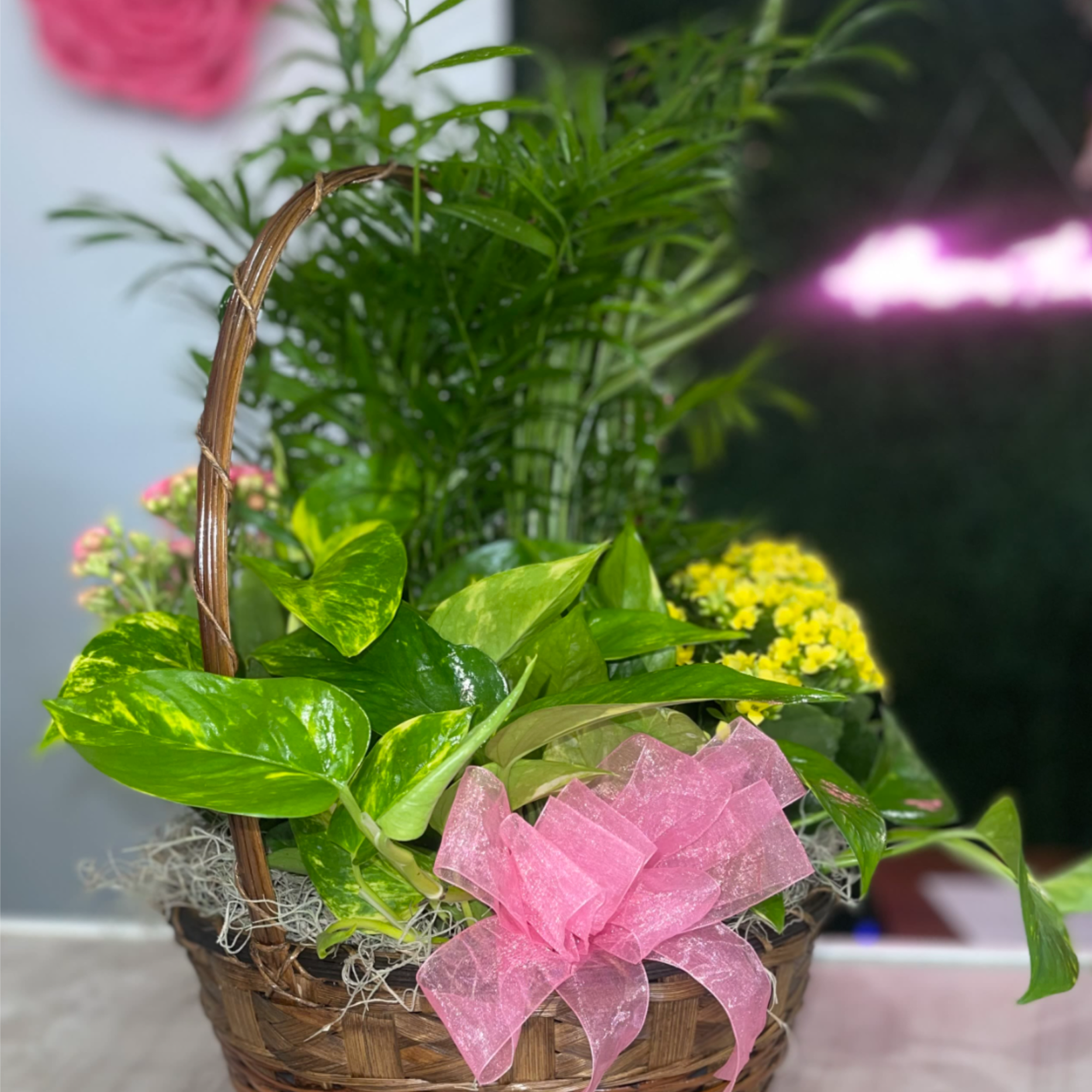 Send a little garden to somebody. A mix of flowering plants and