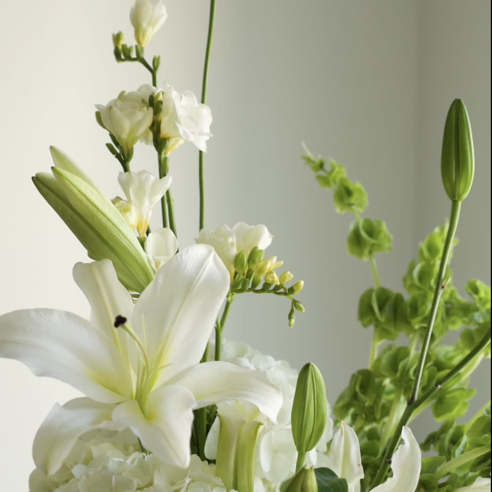 A fresh, light-filled arrangement in crisp white and vibrant green tones. 
Featuring