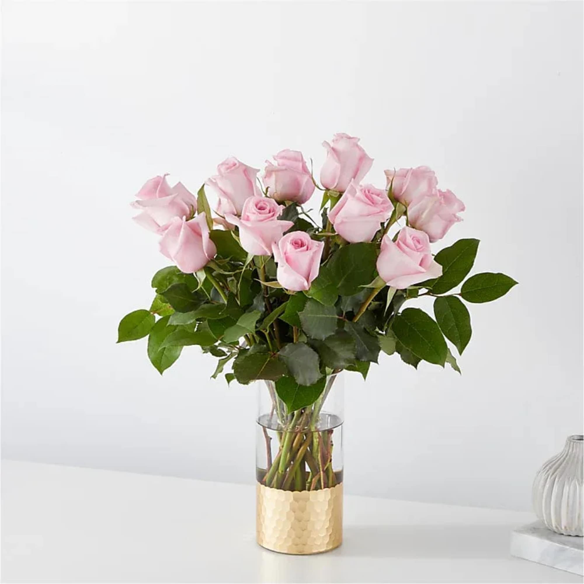 The picture-perfect petals of pink roses gracefully unfold, showcasing their timeless charm
