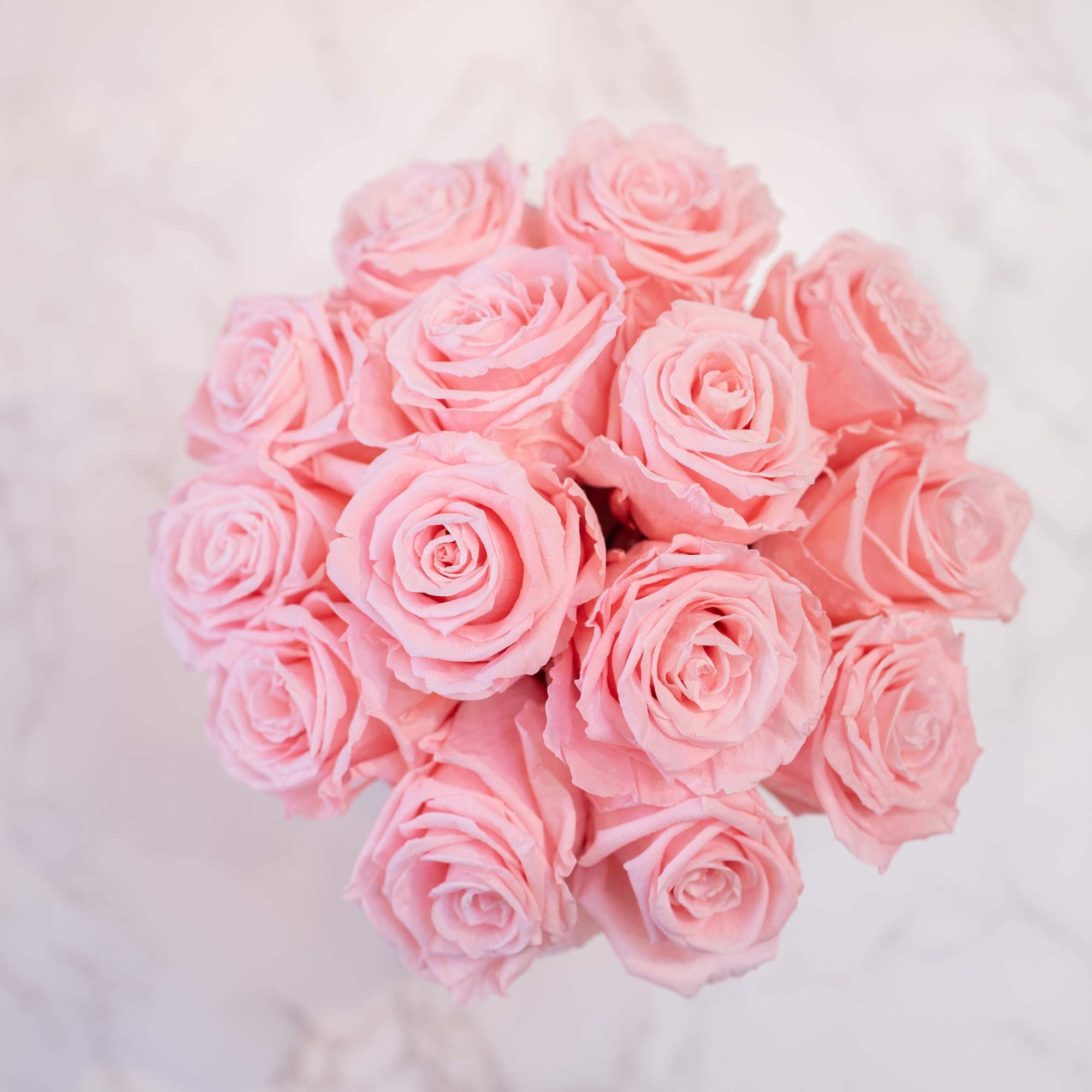 High end preserved roses, custom designed by hand in our local shop