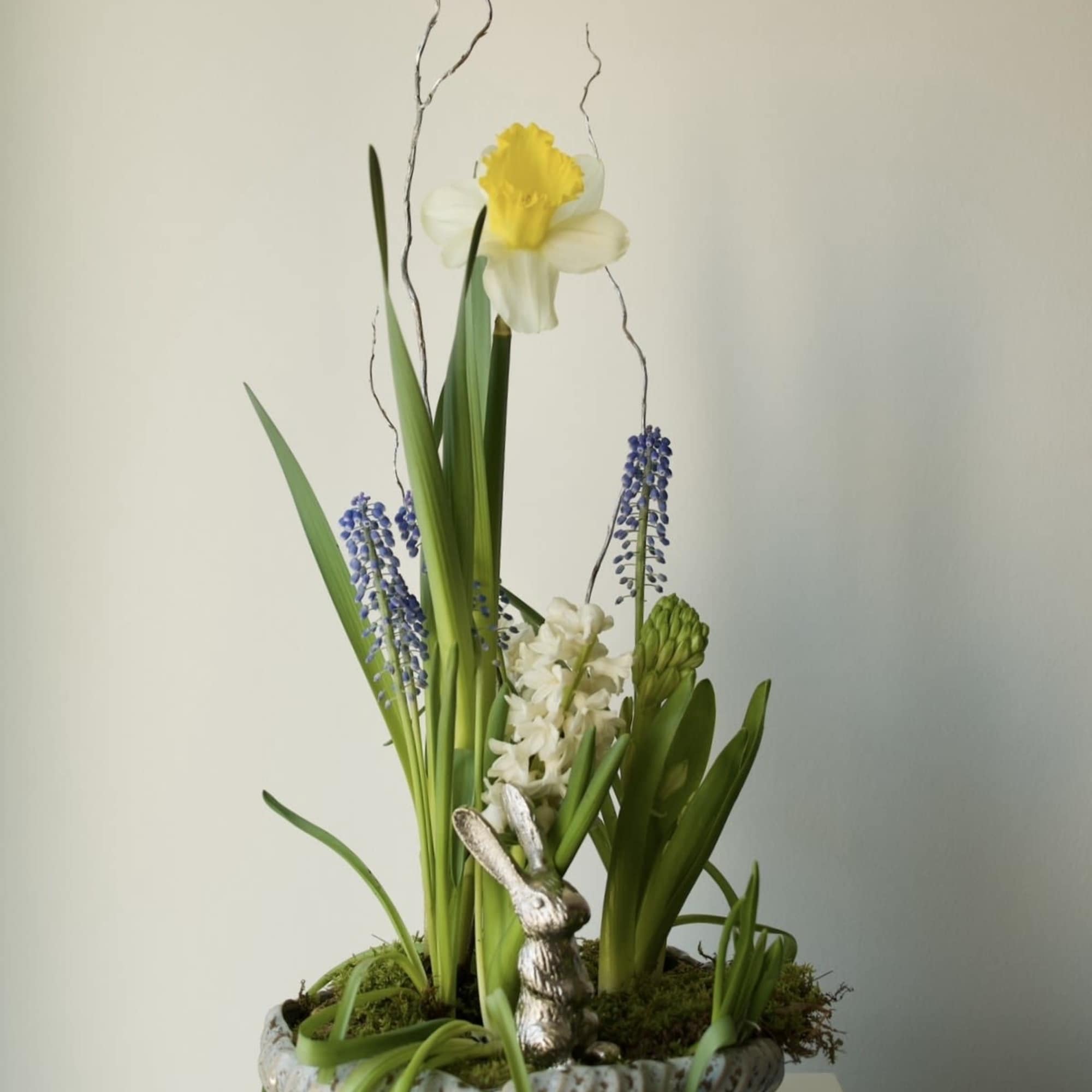 A fresh planted spring garden featuring seasonal blooming plants such as narcissus