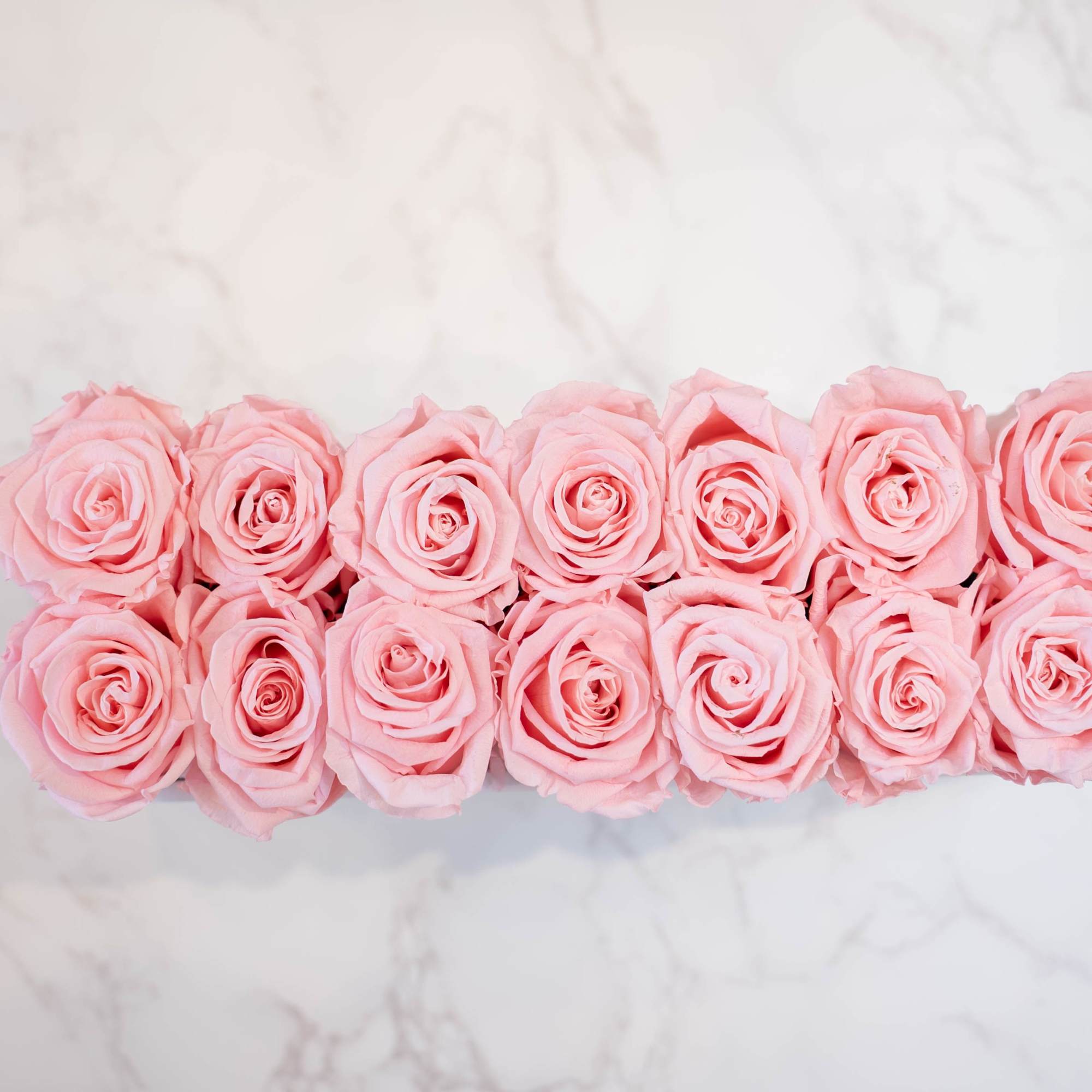 High end preserved roses, custom designed by hand in our local shop