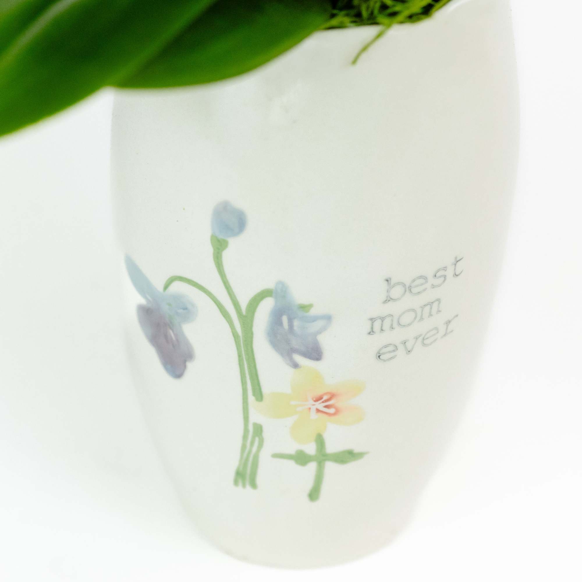 Beautiful purple orchid planted in the perfect container to let your mom