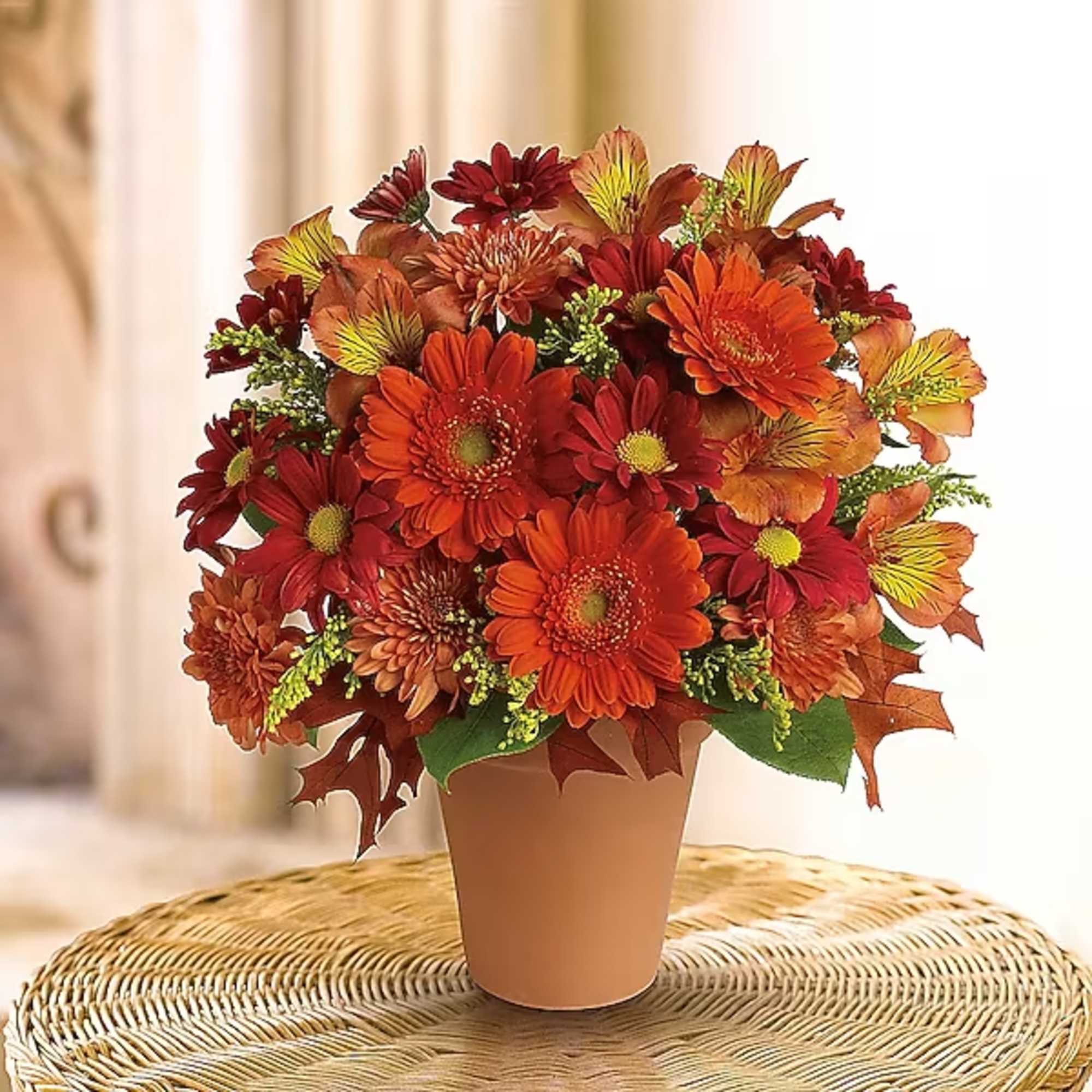Send this pretty pot of golden fall flowers to someone special today.