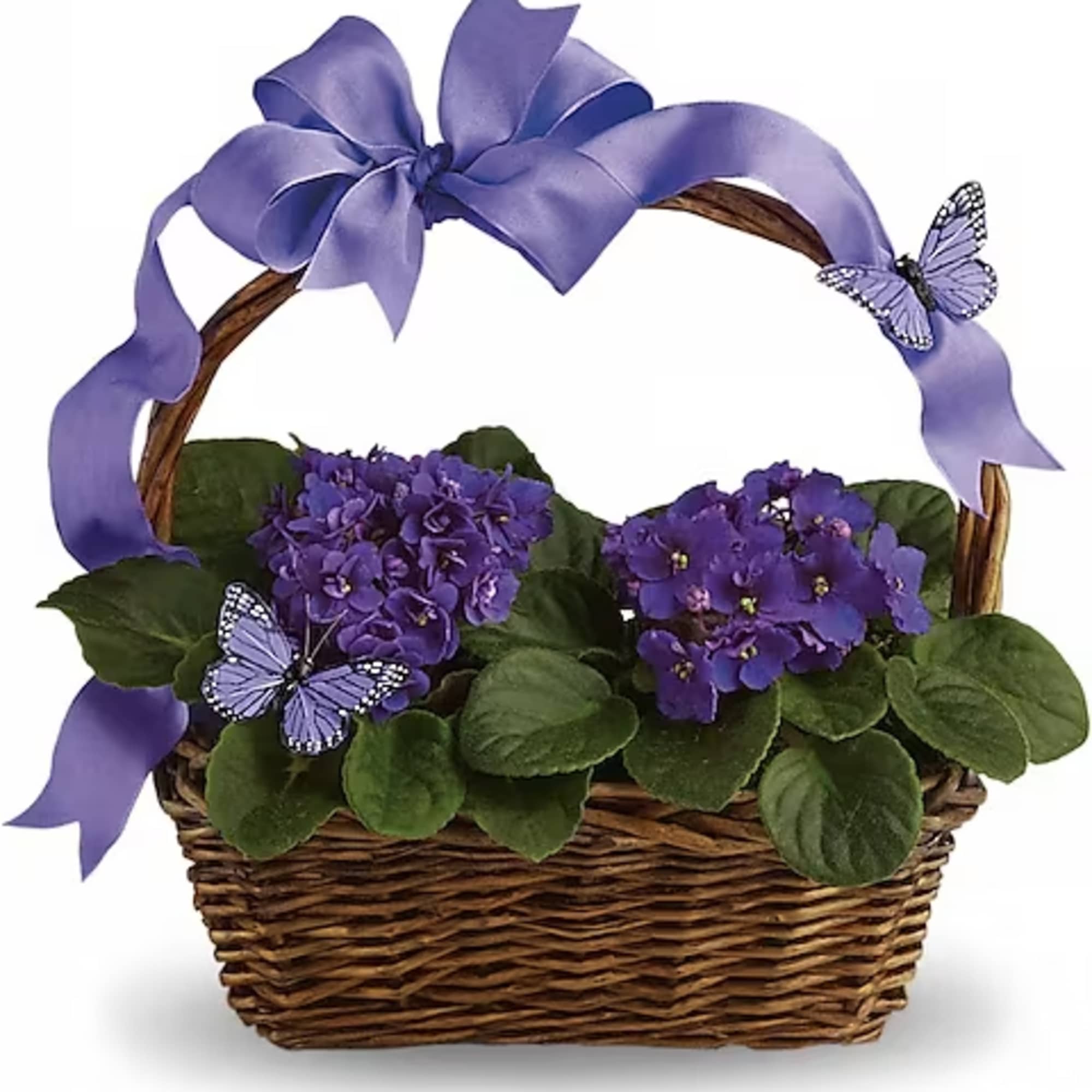 Velvety violets, beautiful butterflies, a radiant ribbon and a basketful of delight.