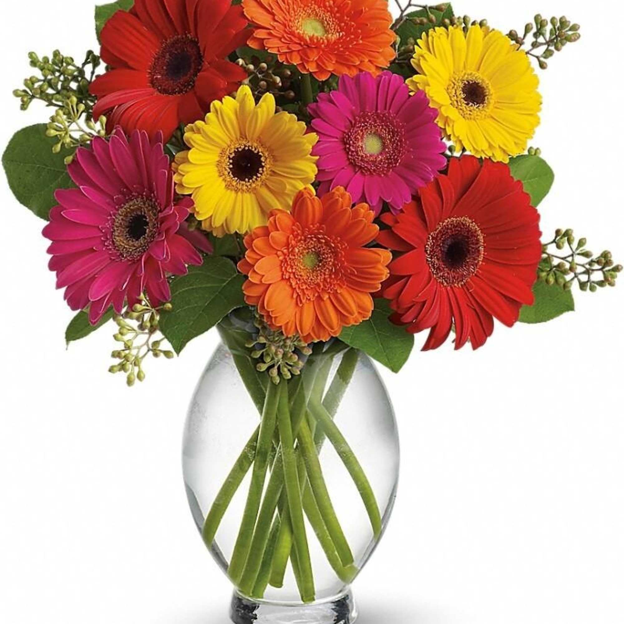Bright mixed gerbera daisies in red, orange, yellow, and pink arranged in a clear glass vase