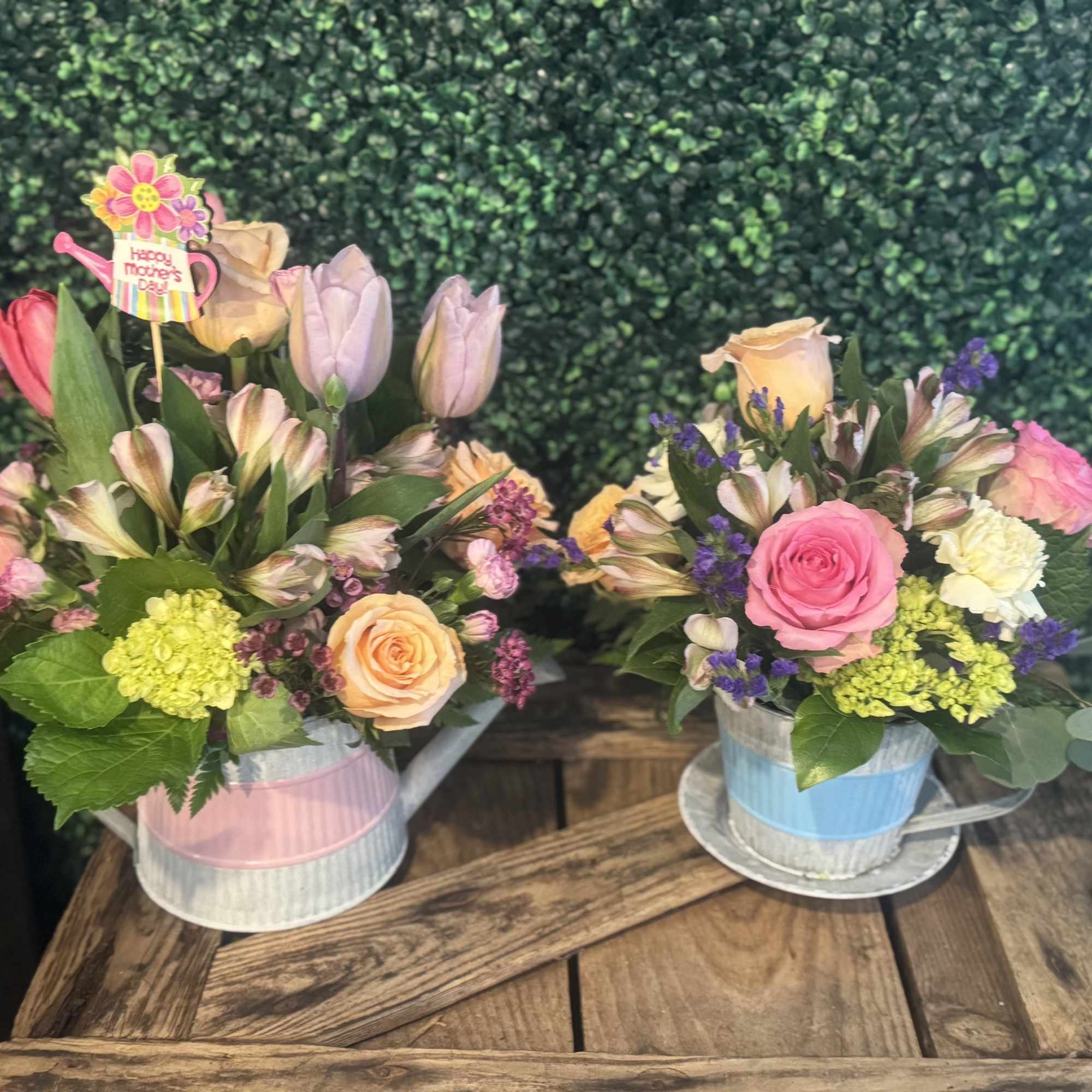 Our Mother's Day Special - The Tin Watering Can
This arrangement comes in