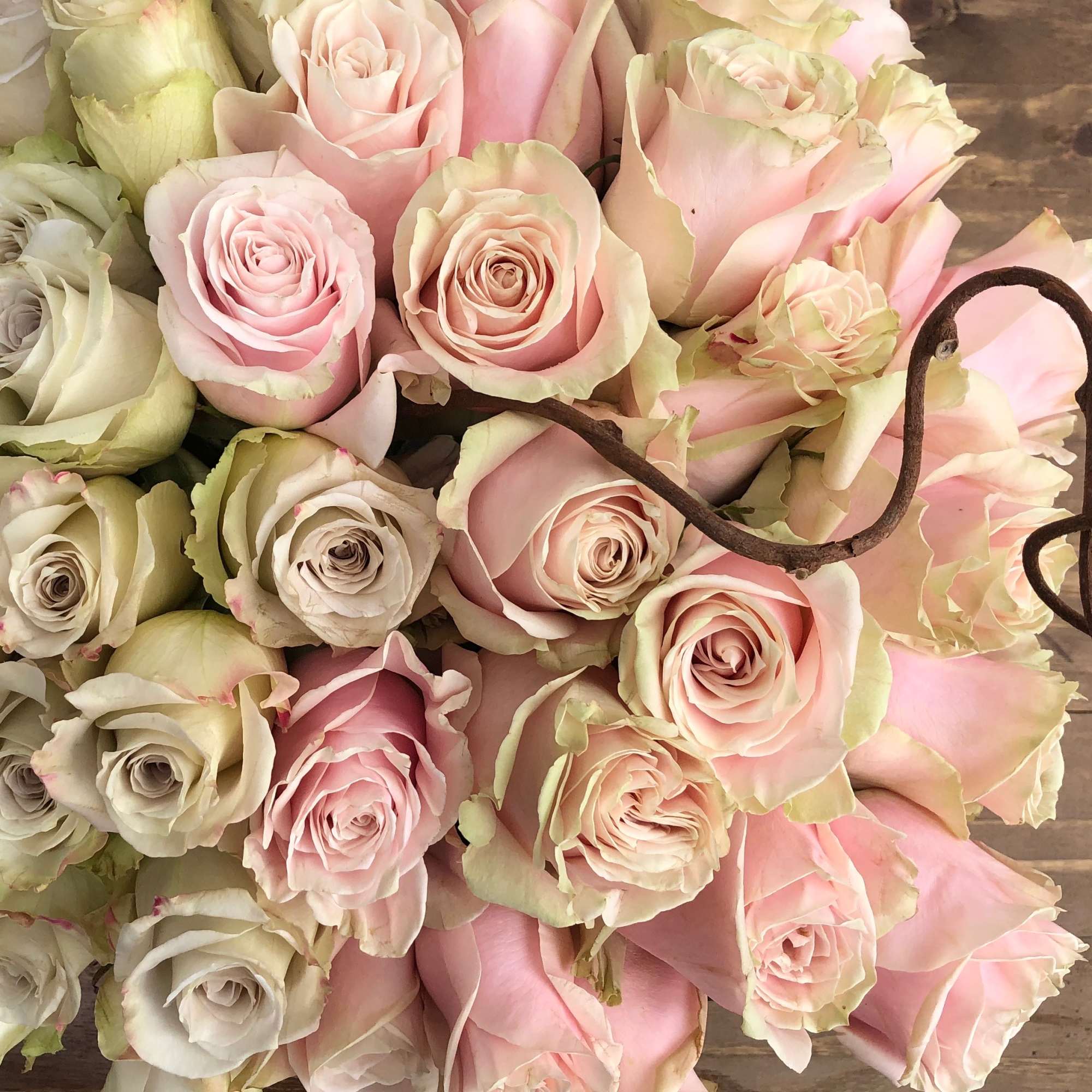 ***No specific delivery time available**

This beautiful European modern style has become one