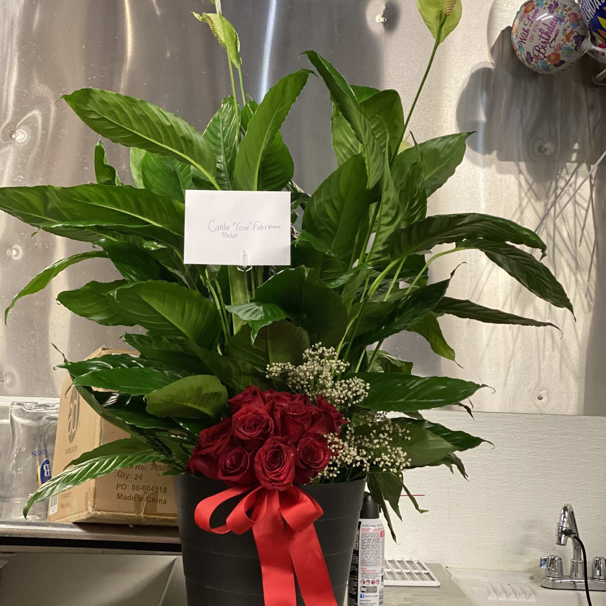 A lush peace lily plant that brings calm and fresh greenery to