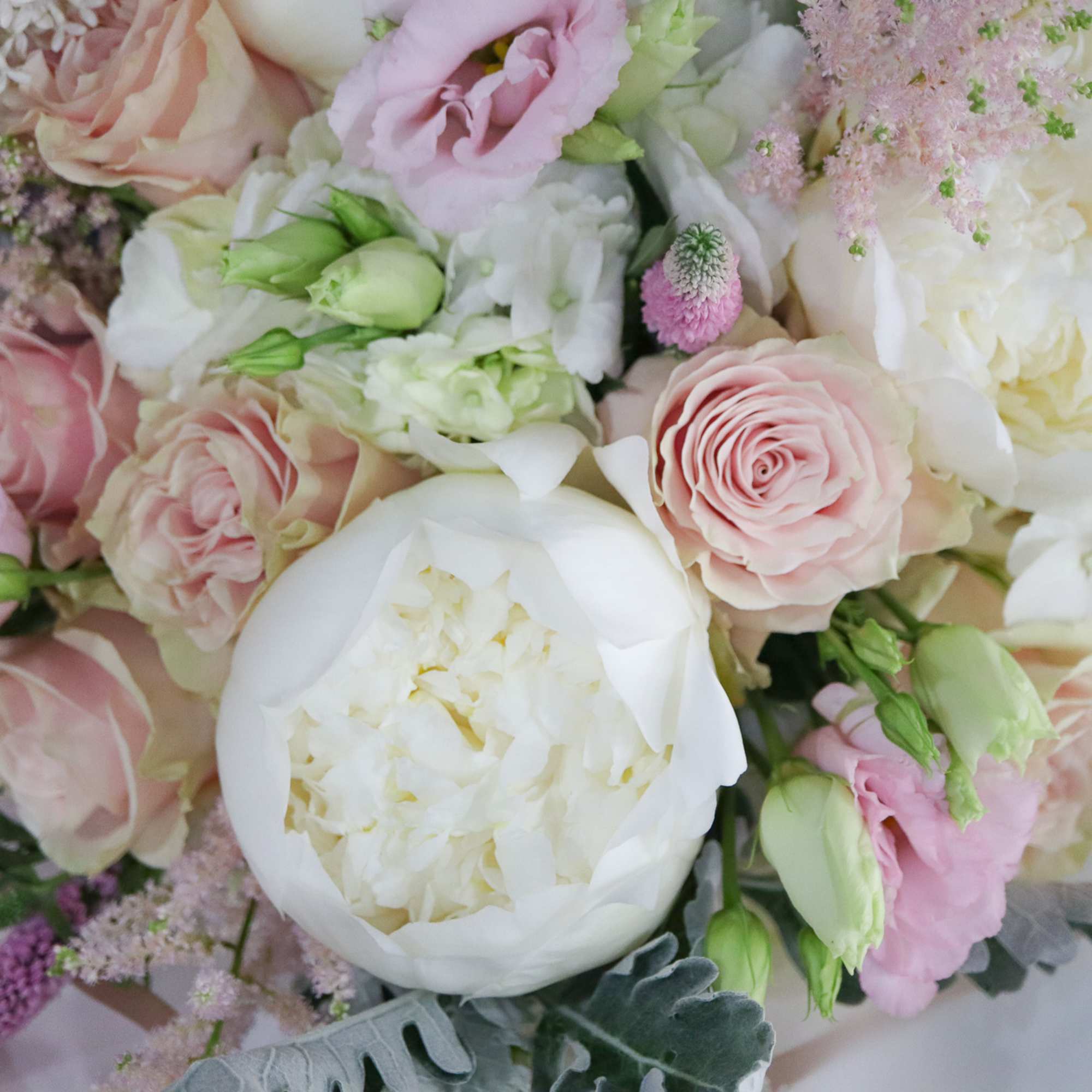 Bouquet of pale pink and white flowers with soft greenery