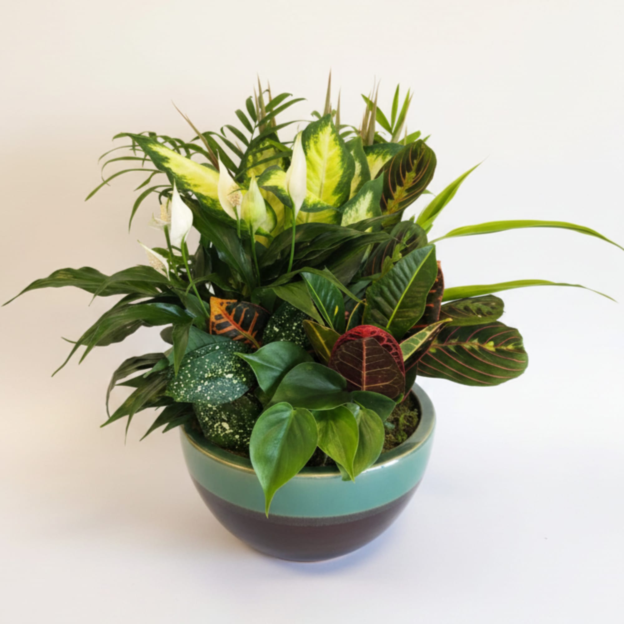 This low bowl filled with living plants will also carry comfort and