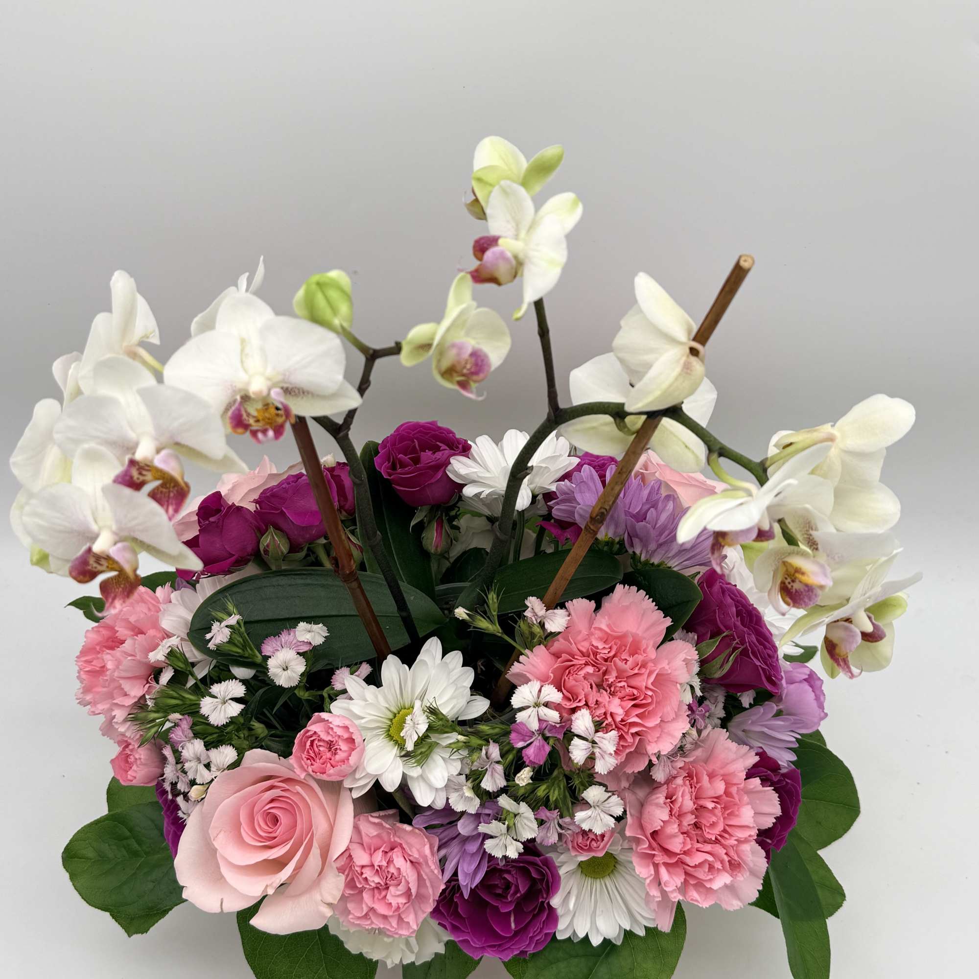 This dainty arrangement features a graceful small phalaenopsis orchid surrounded by a