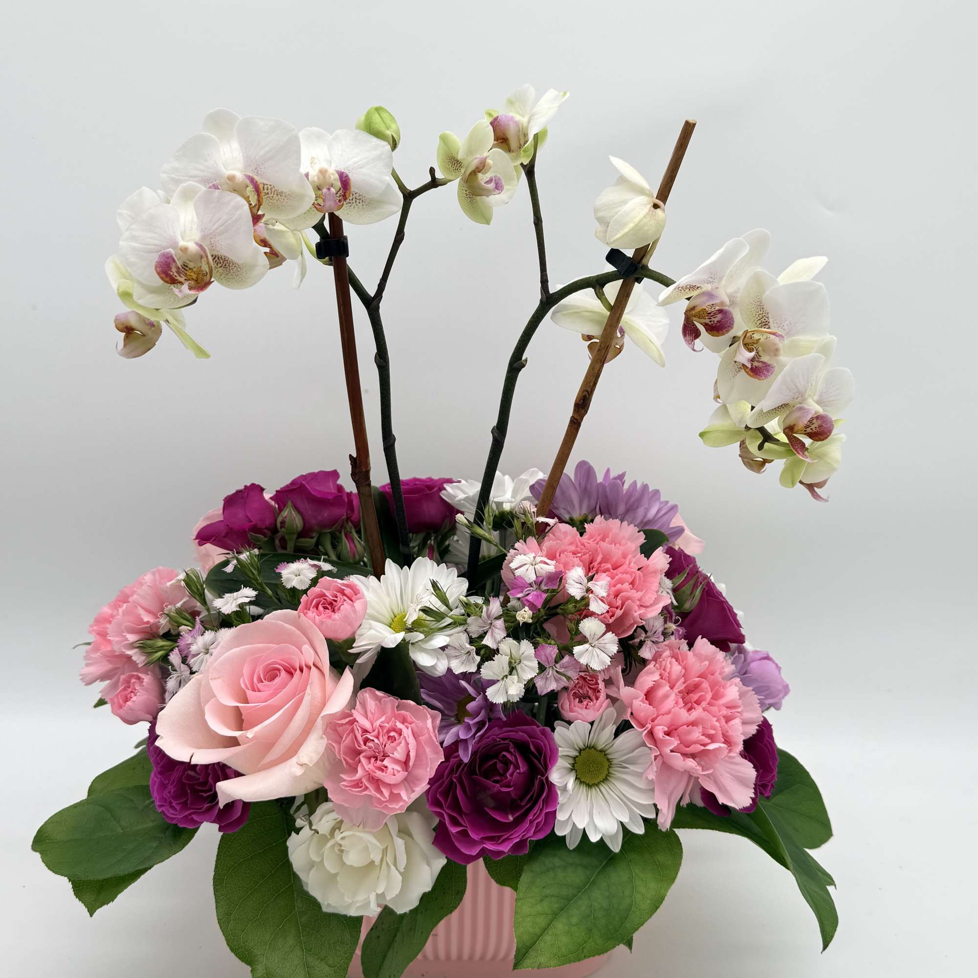 This dainty arrangement features a graceful small phalaenopsis orchid surrounded by a