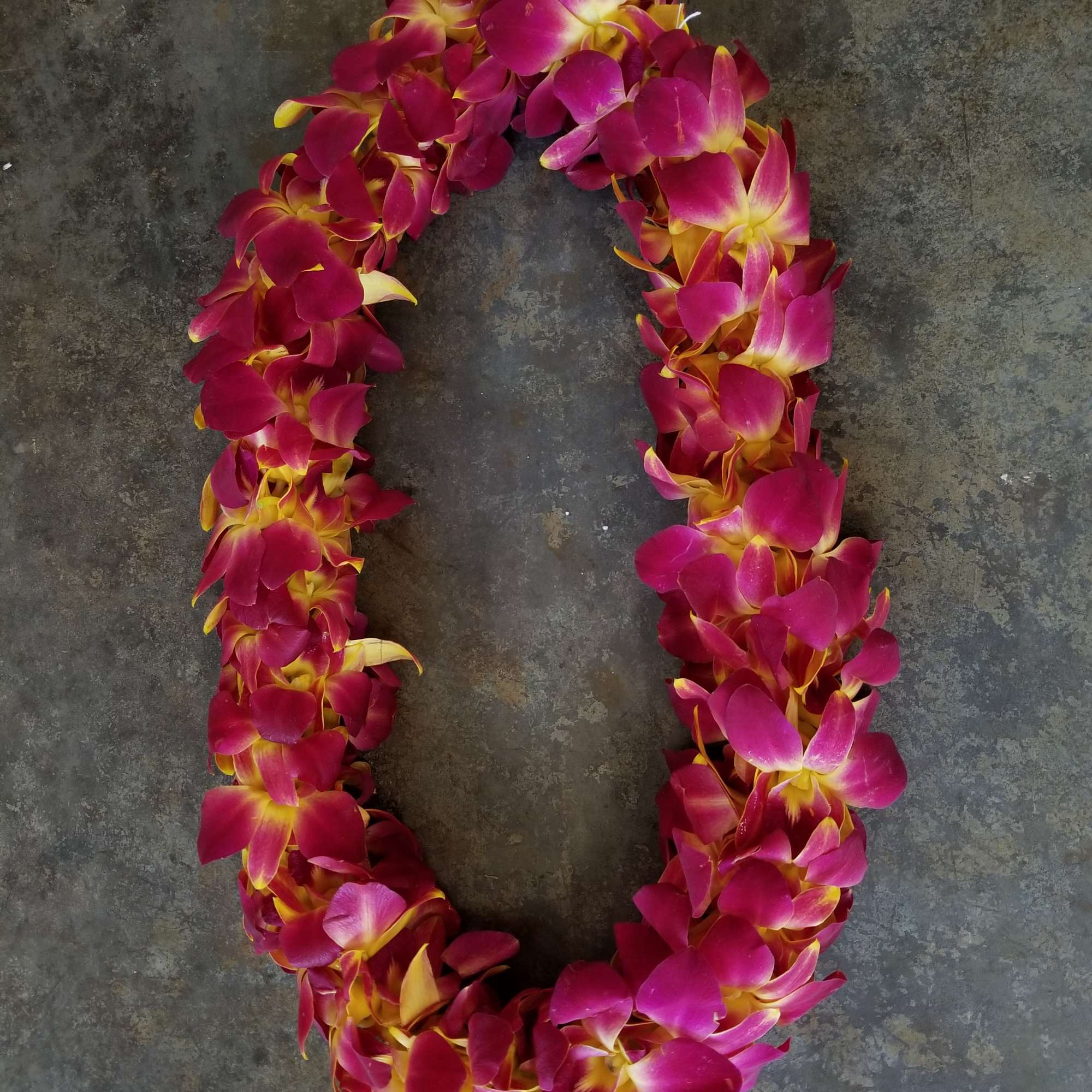A magenta and yellow flower lei arranged in a loop.