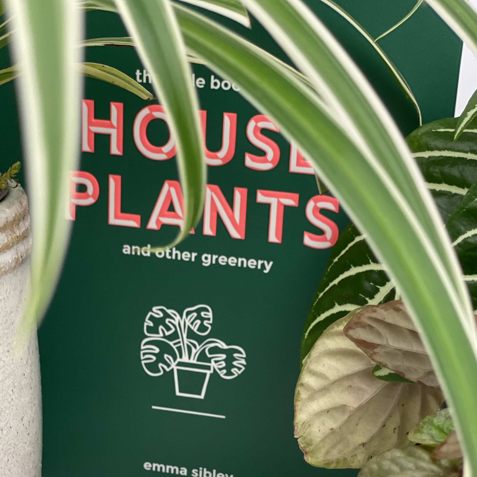 Houseplants and leafy foliage in front of a plant shop sign