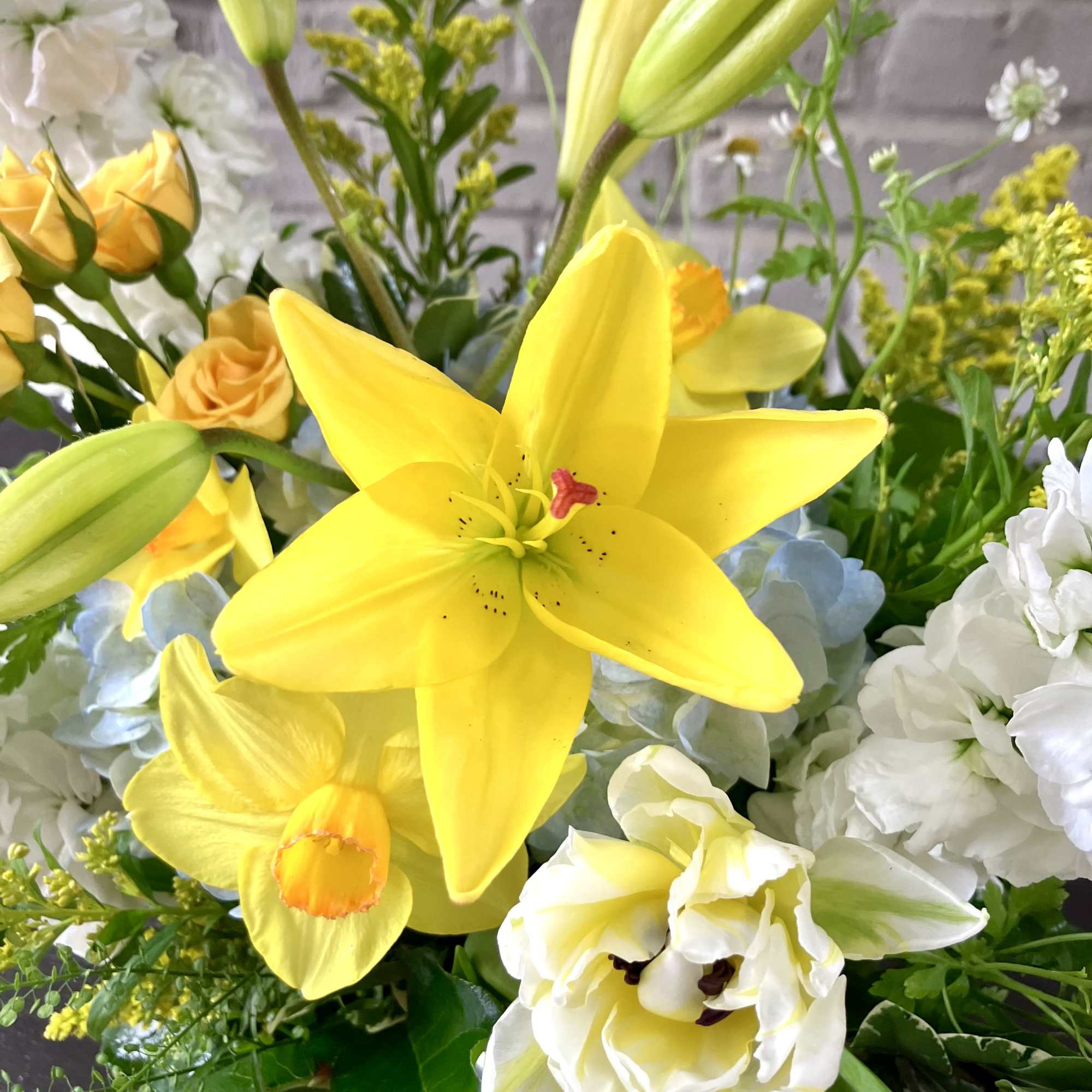 Soft and sweet, Spring Skies will bring joy to anyone's day! Blue