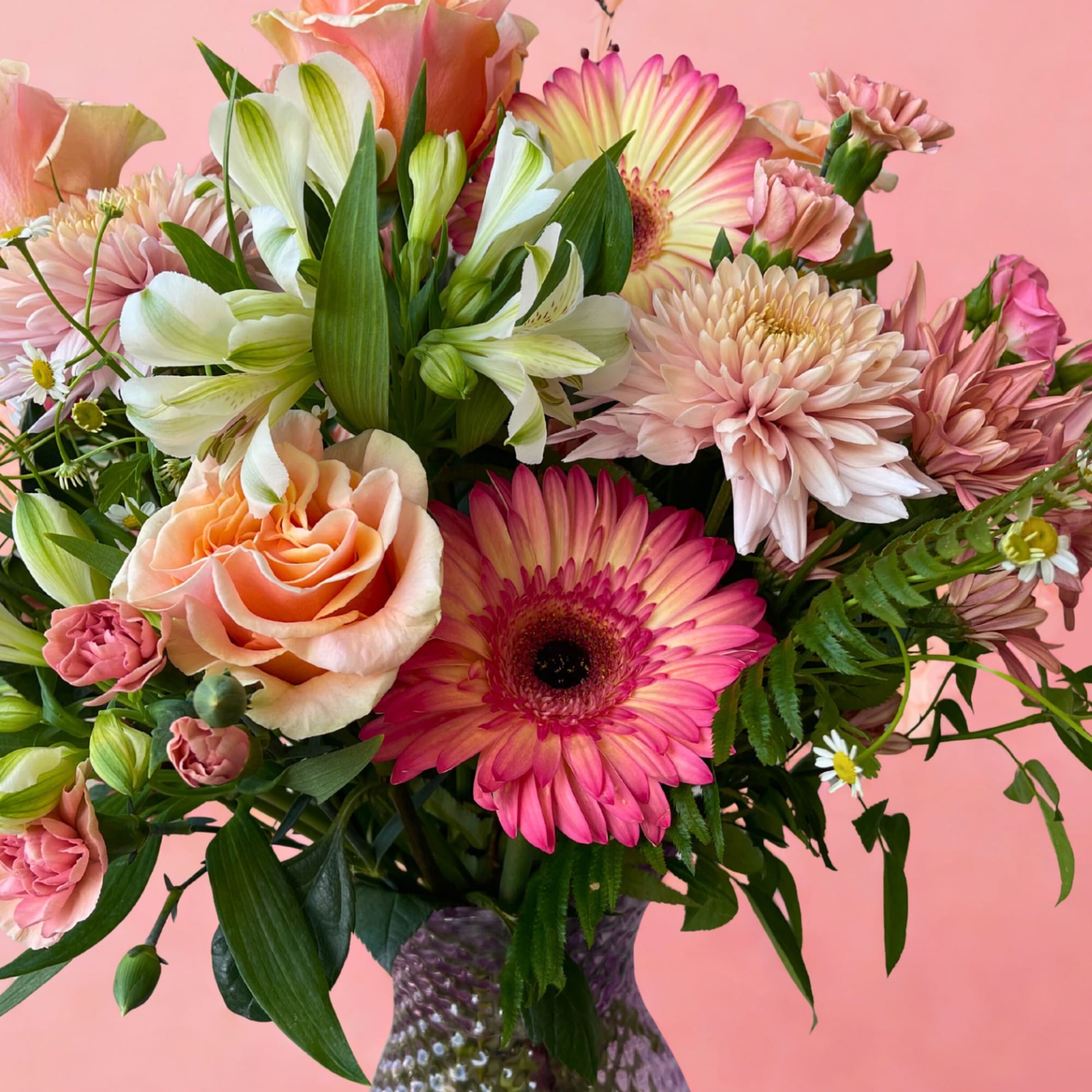 Harriet Jane is sweet, spirited, and full of charm&mdash;just like the woman